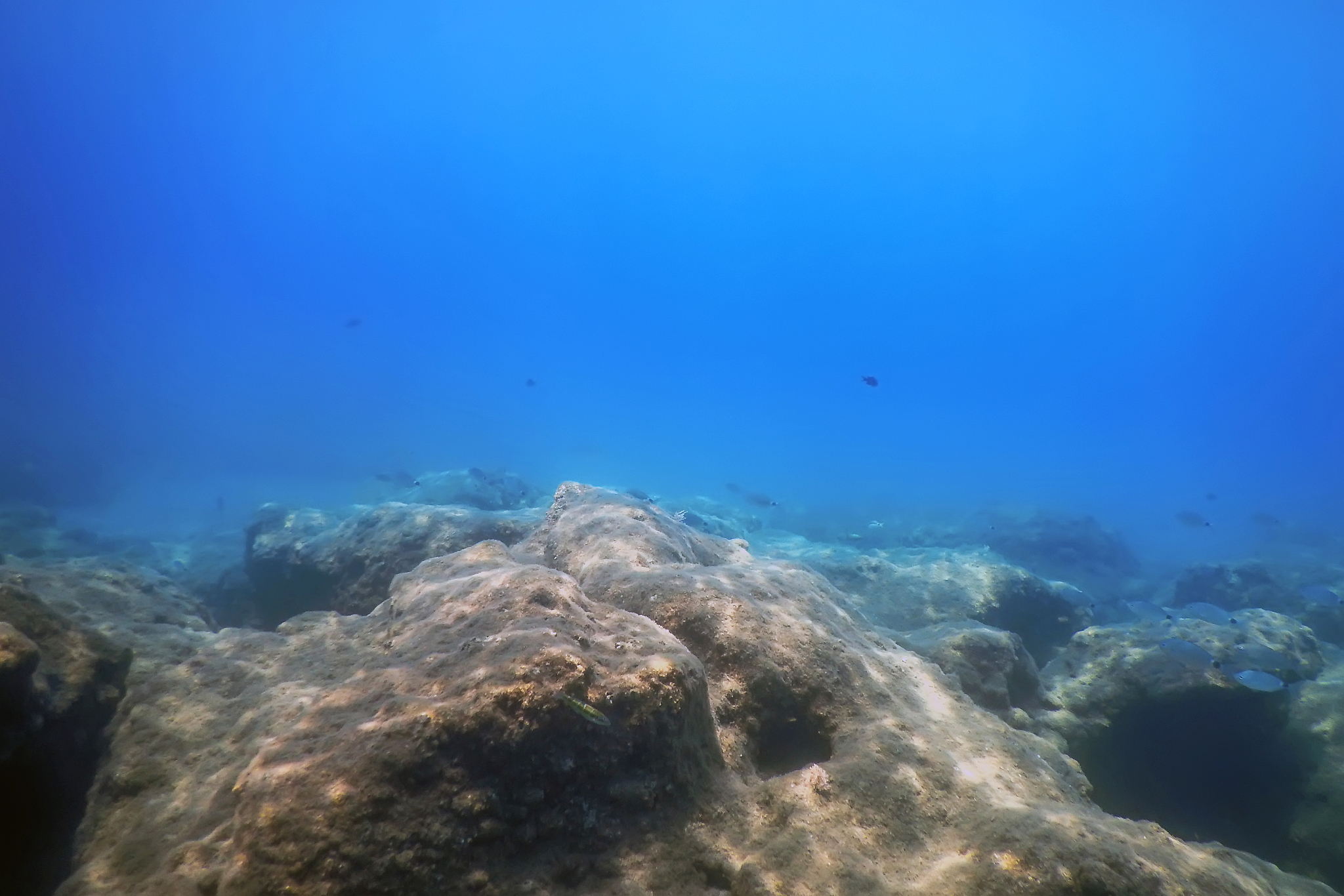 sea life underwater rocks sunlight, underwater life