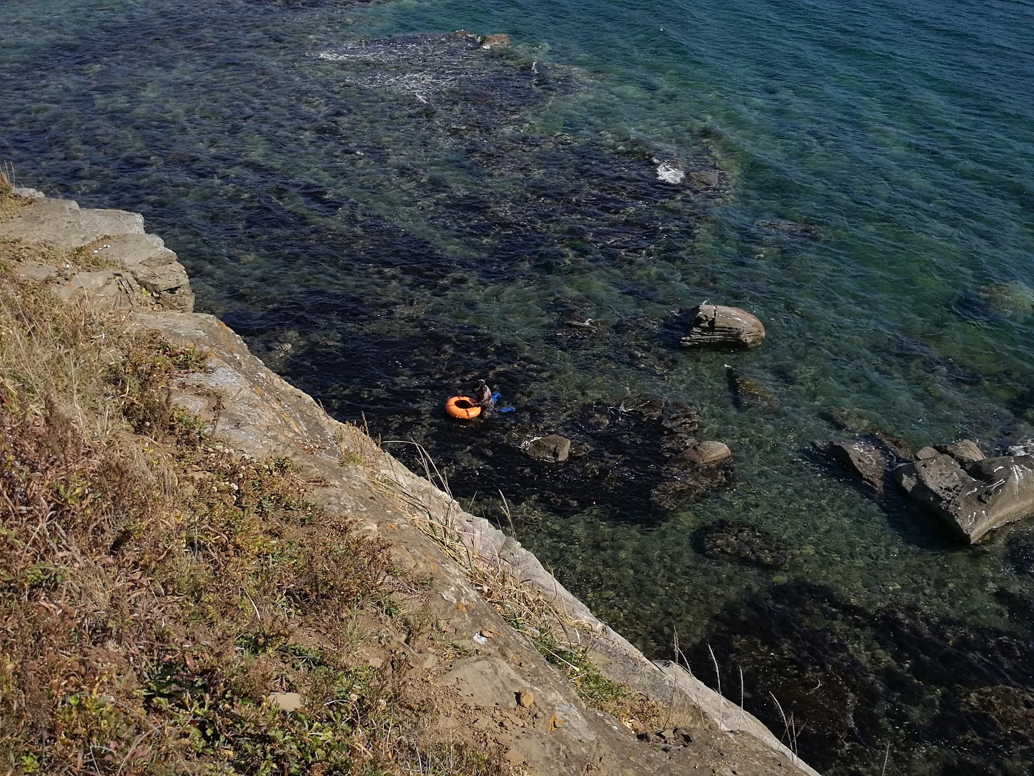 福岛核废水排海时间：日本计划何时排放？