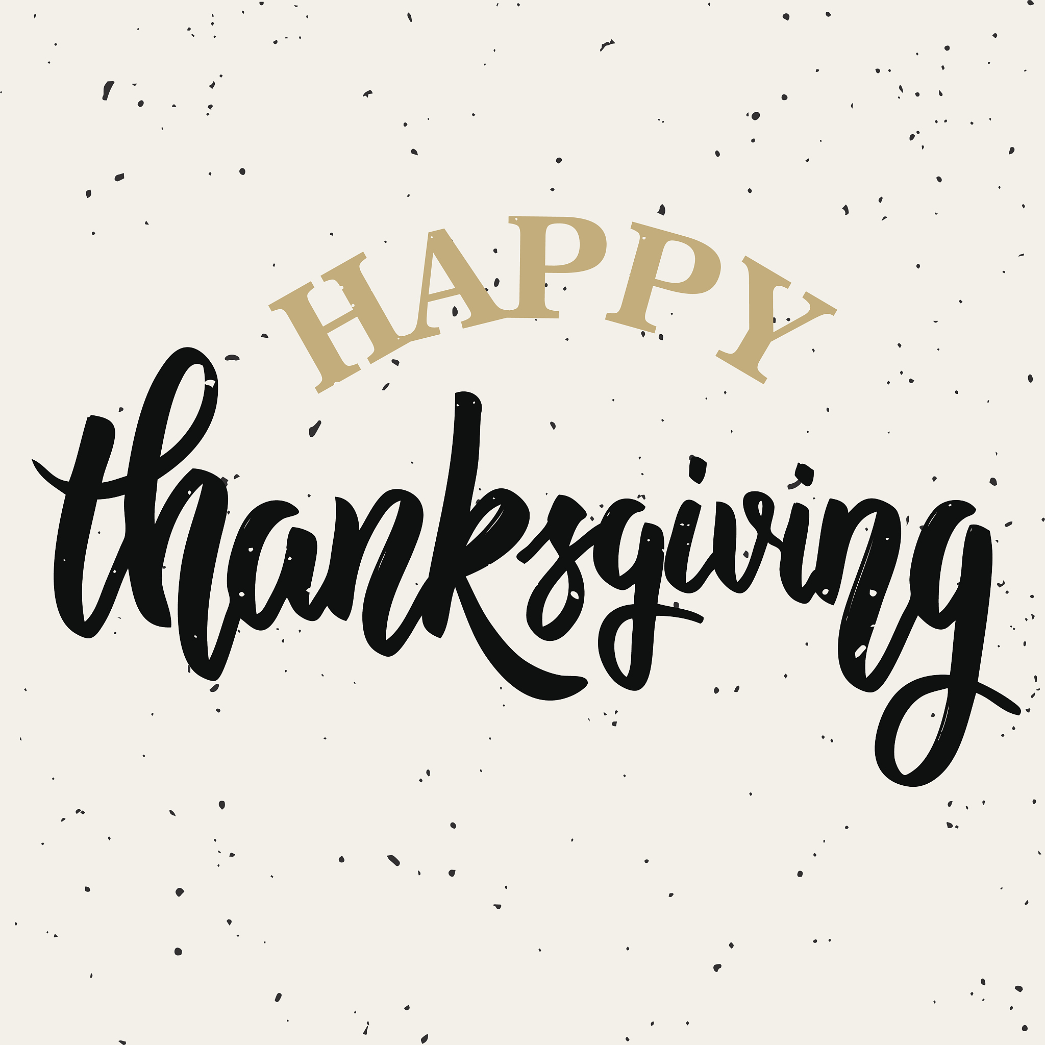 happy thanksgiving. hand drawn lettering on white background.