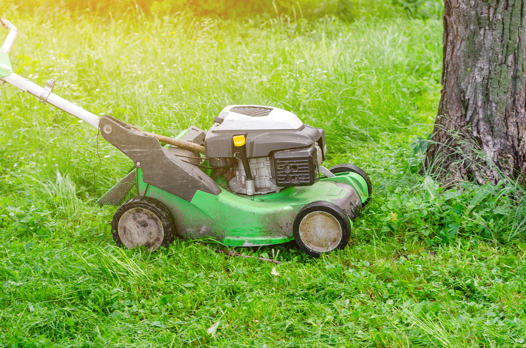 潍坊职业学院园林工程技术专业课程介绍：学习内容及就业方向