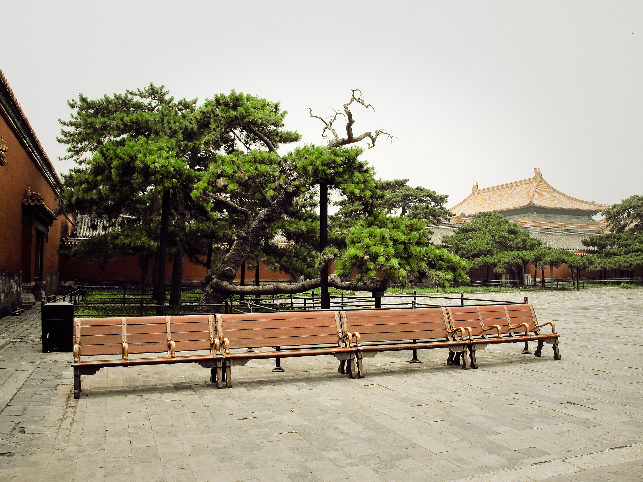 gugun, forbidden city
