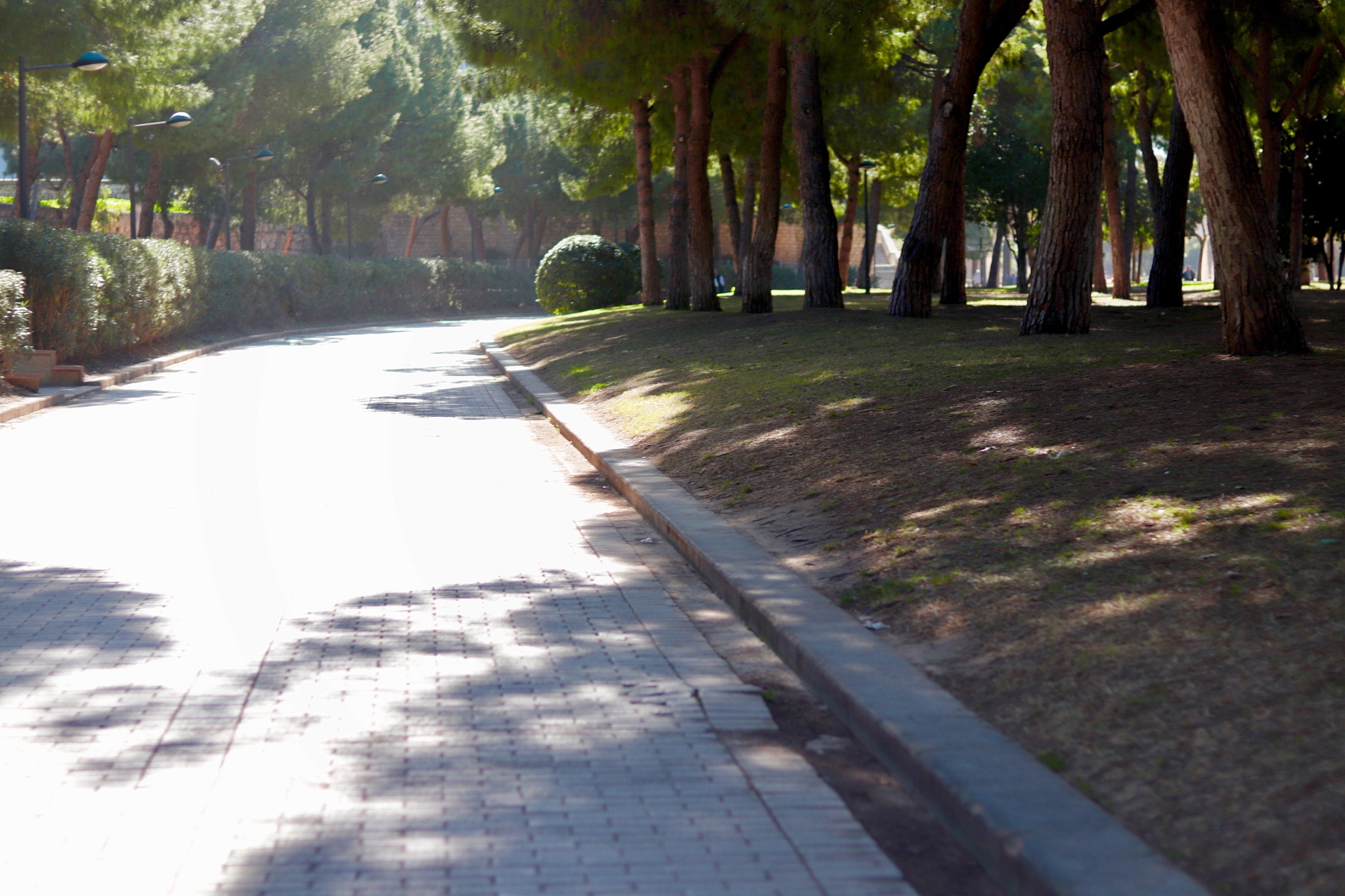 西安市园林技工学校园林中级工有前途吗？需满足哪些招生条件