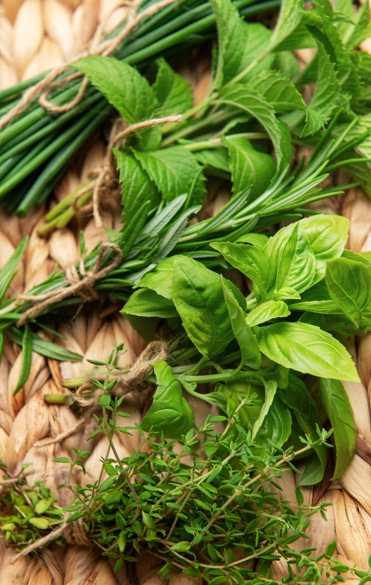 胃不适怎么办？江苏灌南野生苦菜汤来帮忙！