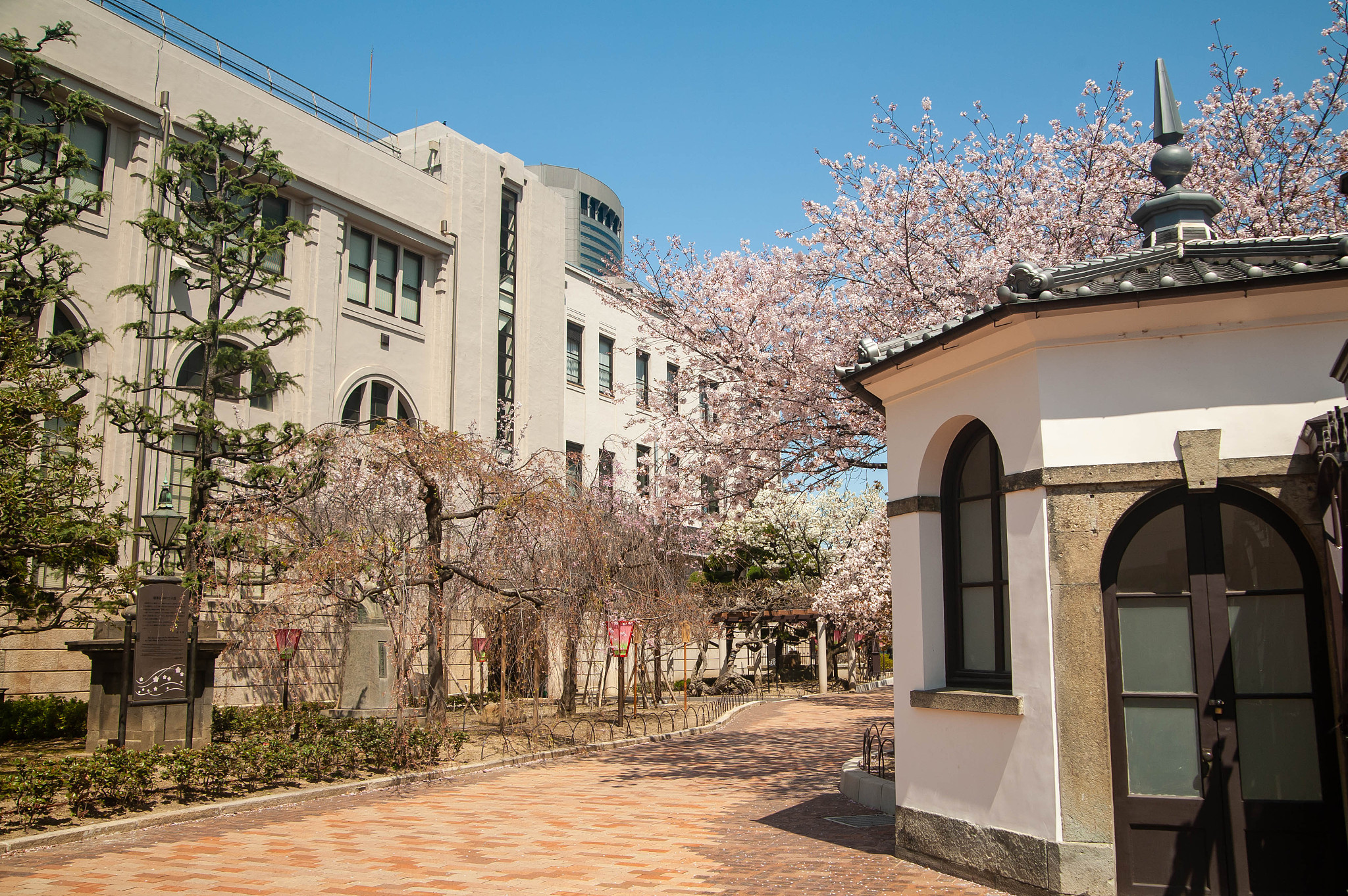 old building and cherry blossoms