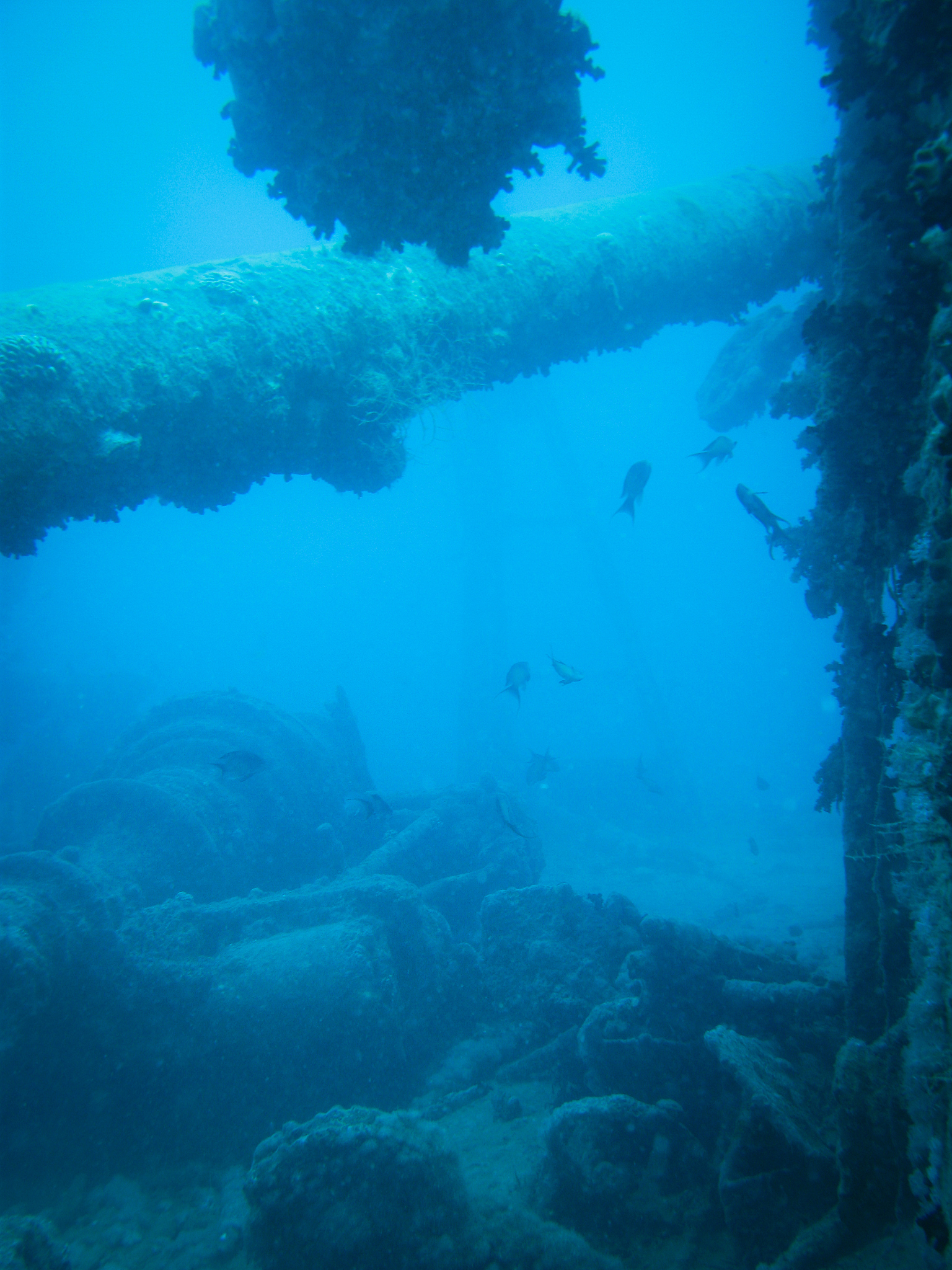 underwater scenes