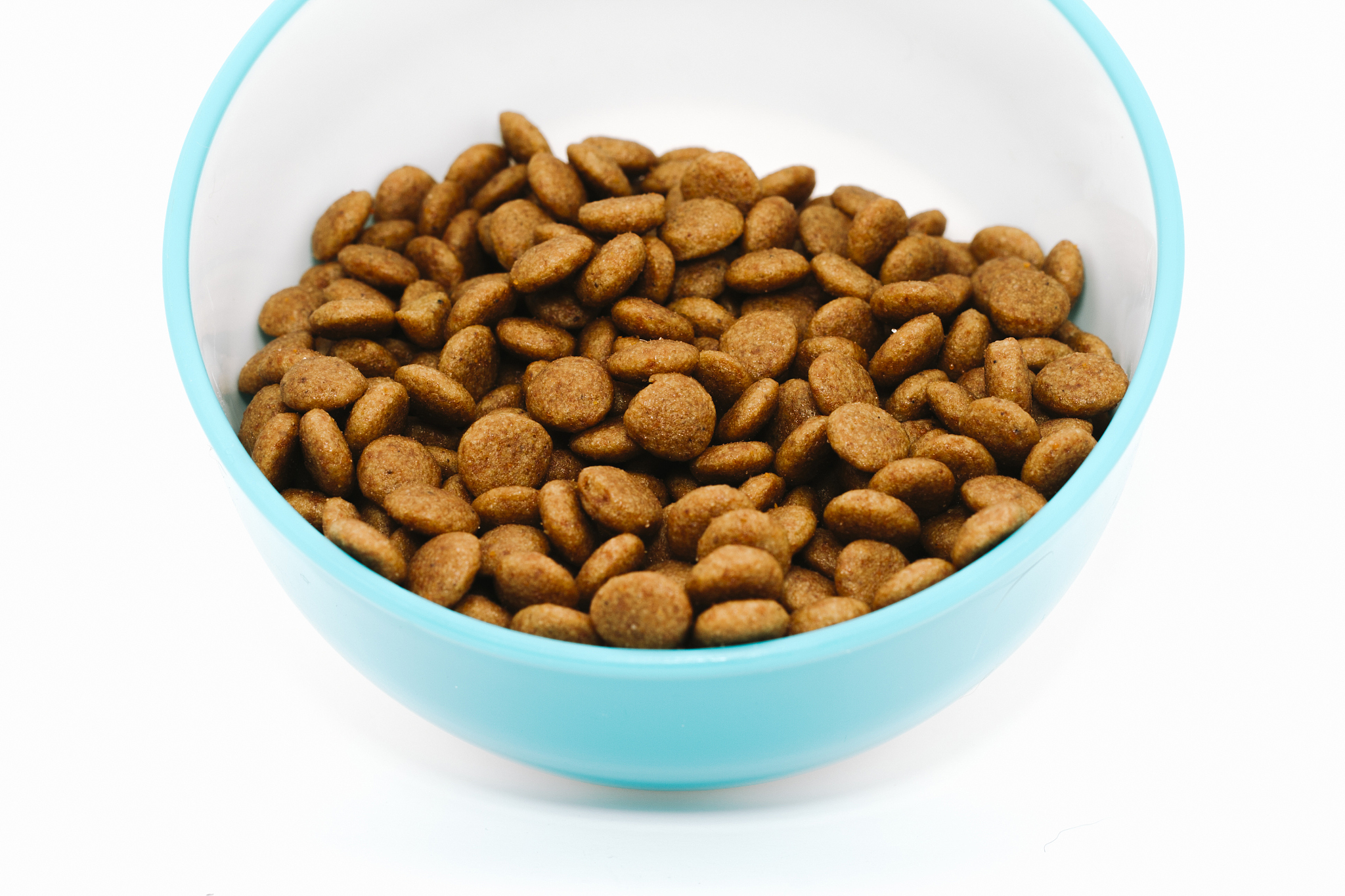 饲料与动物营养专科课程有哪些？