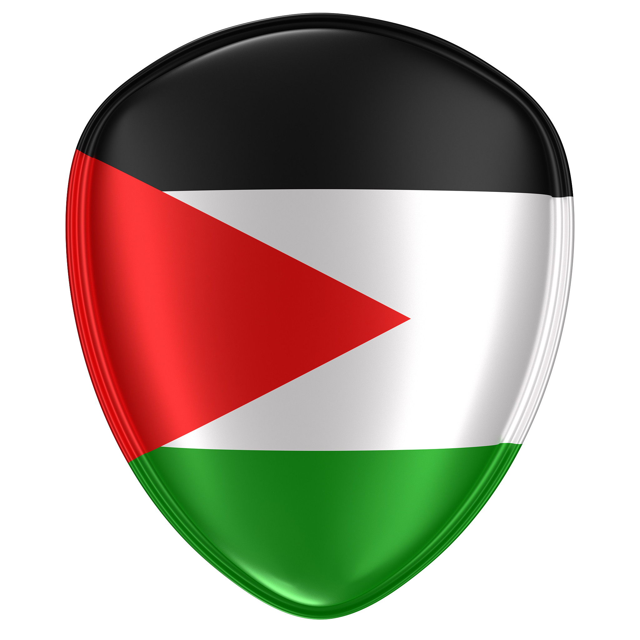 3d rendering of <strong>a</strong> palestine flag icon.
