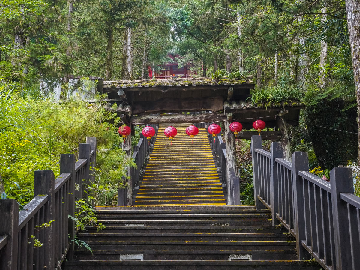 重庆免费挖笋子景点,重庆免费挖笋子景点有哪些