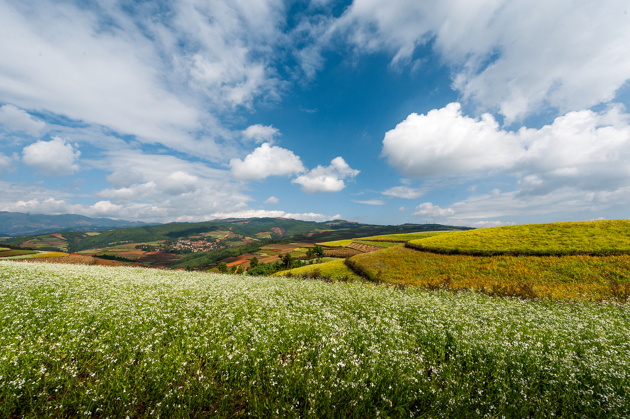 云南农业职业技术学院药品质量与安全专业就业前景怎么样