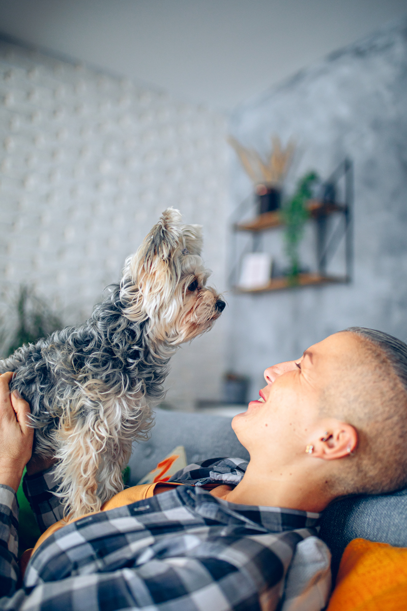 日本政府为了减少民众的压力同时也为了拉动经济增长推出了宠物社会福利计划帮助那些因猫咪经济学而消费的人们。这项计划旨在为饲养猫的人提供补贴和援助这也是猫咪经济学在日本兴起的原因之一。 宠物社会福利计划涵盖了喂养猫咪、猫诊所、猫咪寄养和猫用品等多个方面为饲养猫的人们提供了多种福利。该计划的具体内容为： ①政府设立猫诊所提供免费治疗免费配药；②政府对救助机构和寄养机构进行补贴；③政府向购买猫箱的客户提供