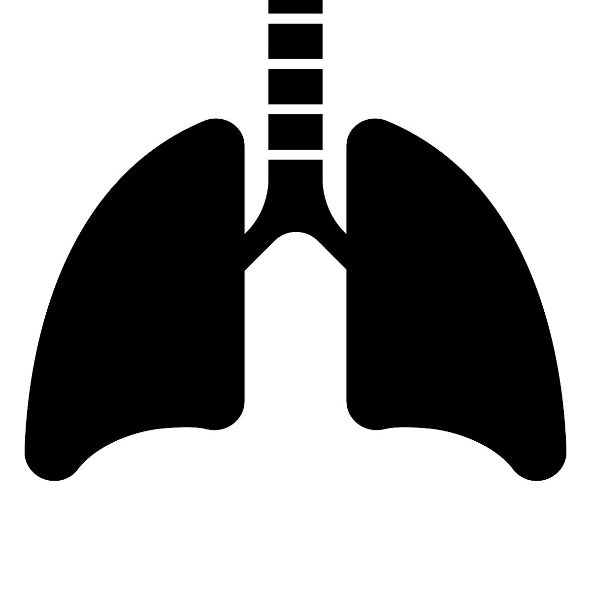 大连医科大学预防医学专业怎么样？优势、劣势及就业前景分析