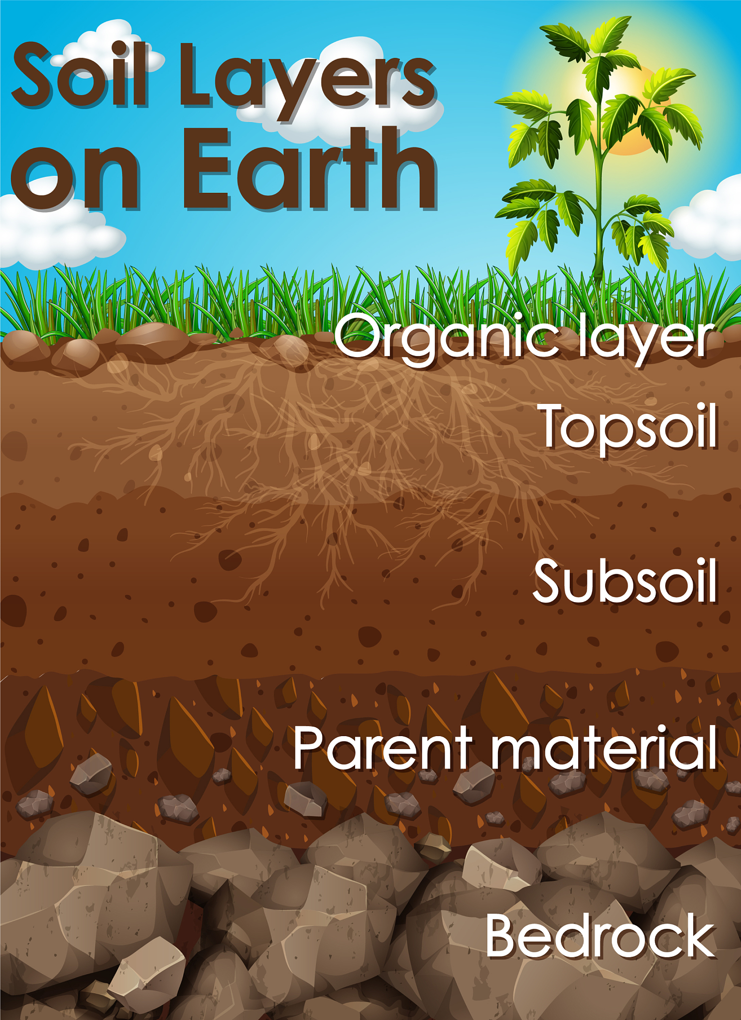 JOURNAL OF PLANT NUTRITION AND SOIL SCIENCE期刊现任主编是谁？