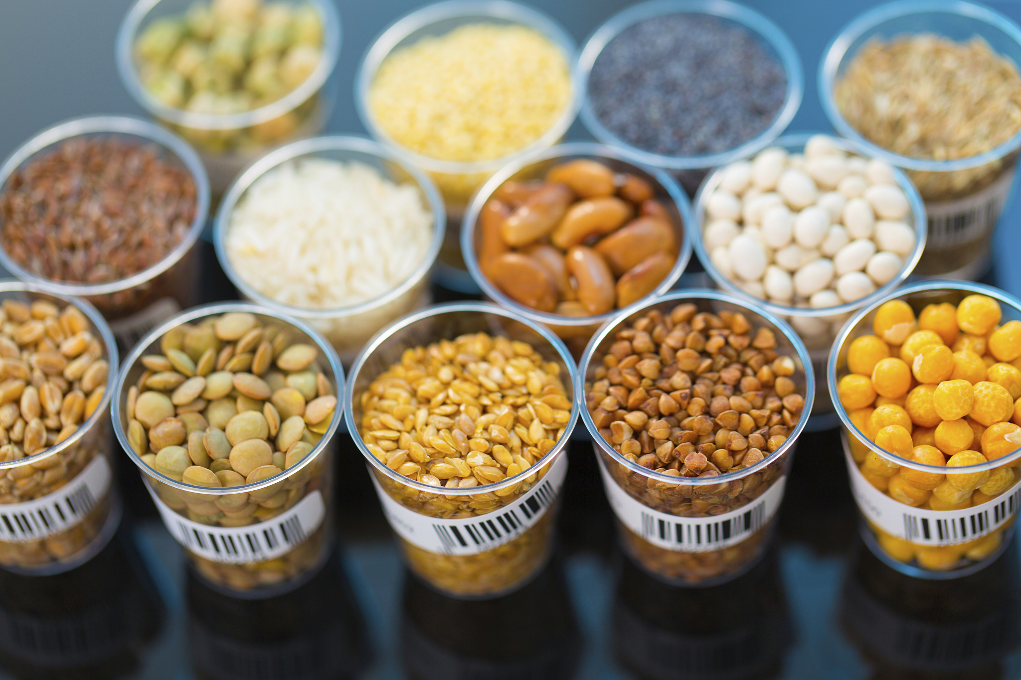 琼州学院食品科学与工程专业怎么样