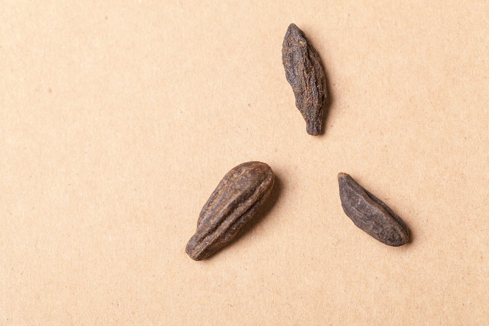 江西中医药大学科技学院2022年招收中药学专业学生