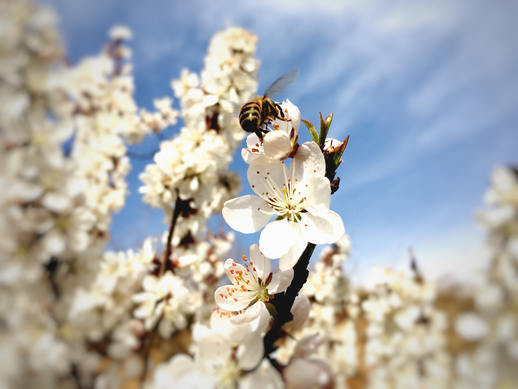 渭南中专学校就业排名：哪所学校就业前景最好？