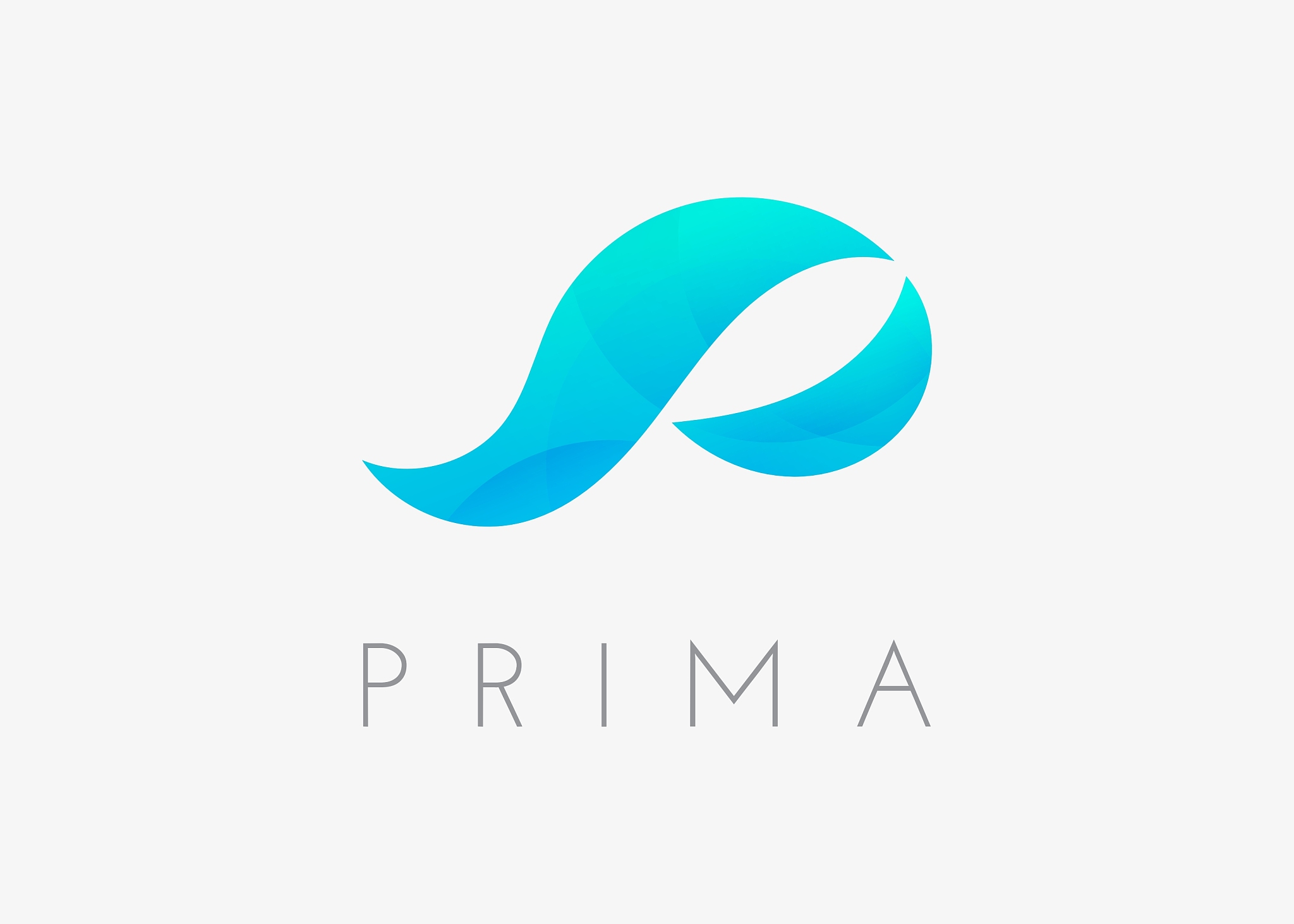 logo template