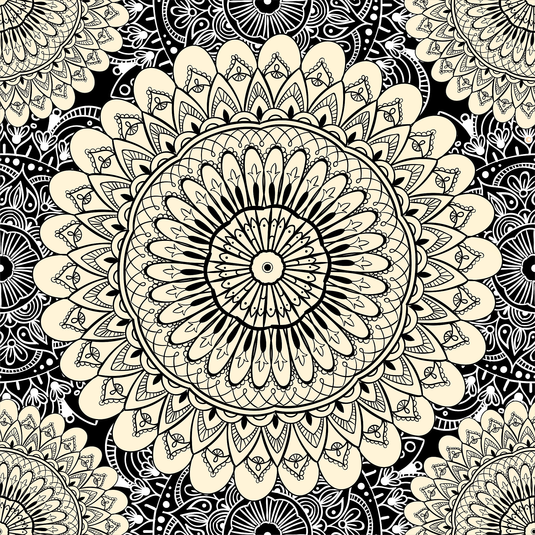 全球军事力量排行榜前十强