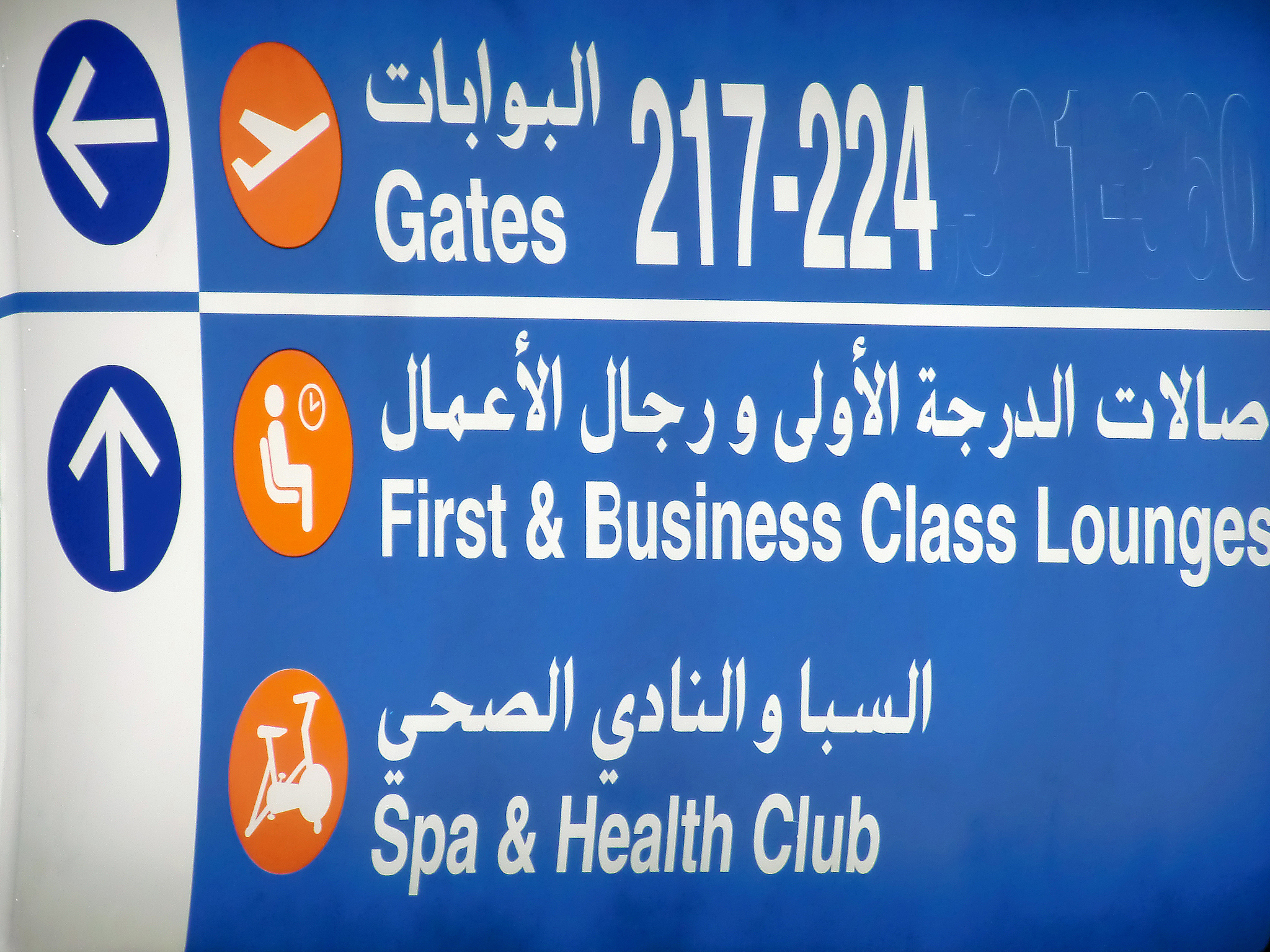 Essential Japanese Airport Phrases in English: A Guide for Travelers