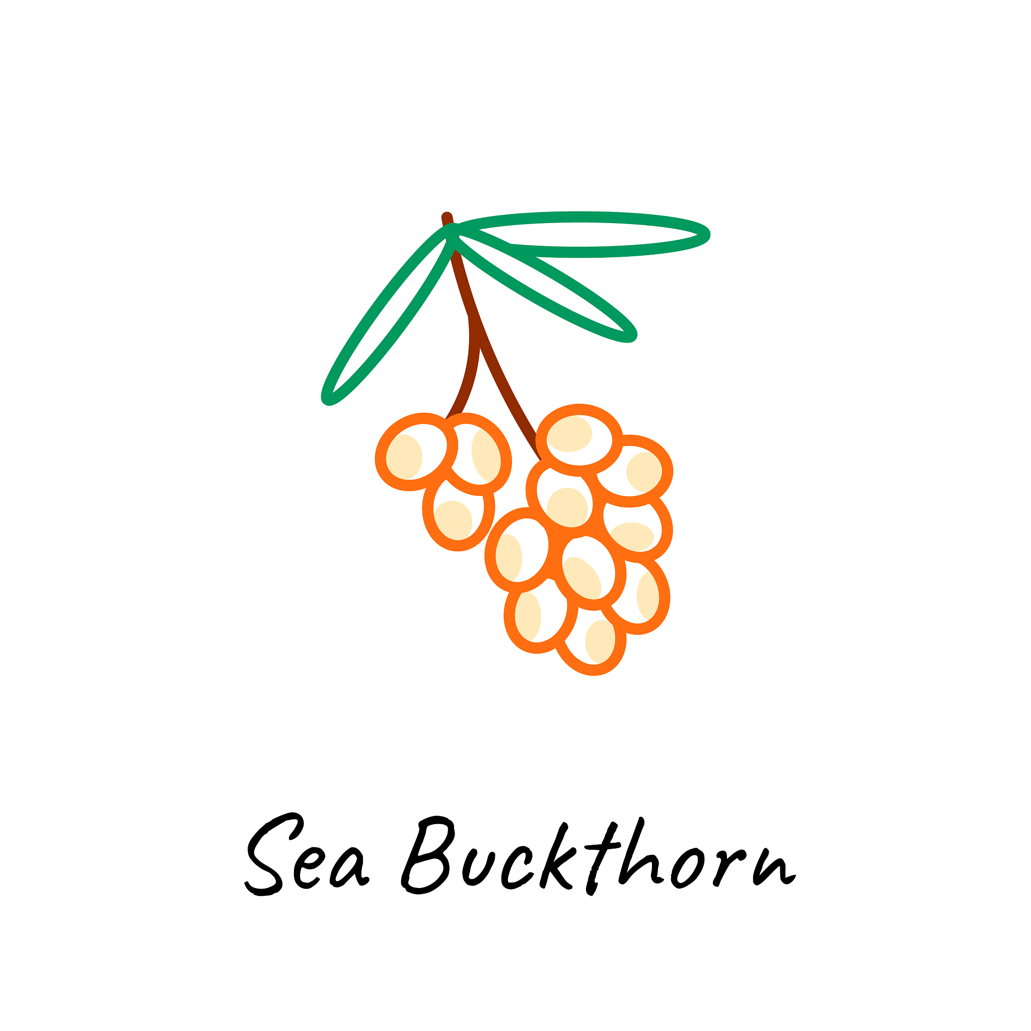 鼎鑫鲜榨沙棘果汁可以预防贫血吗？