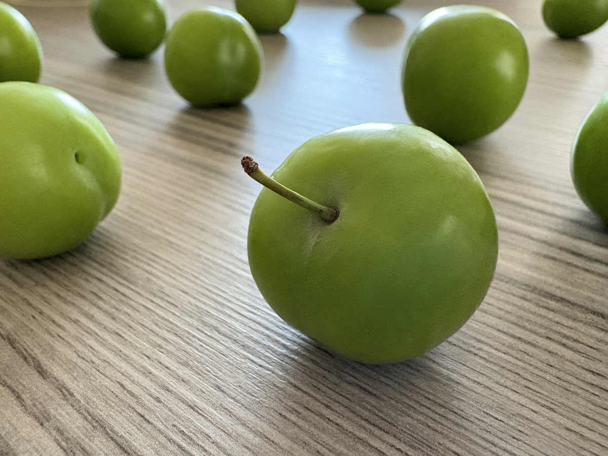 青梅的功效与作用：清热解毒、润肺止咳、降血压等