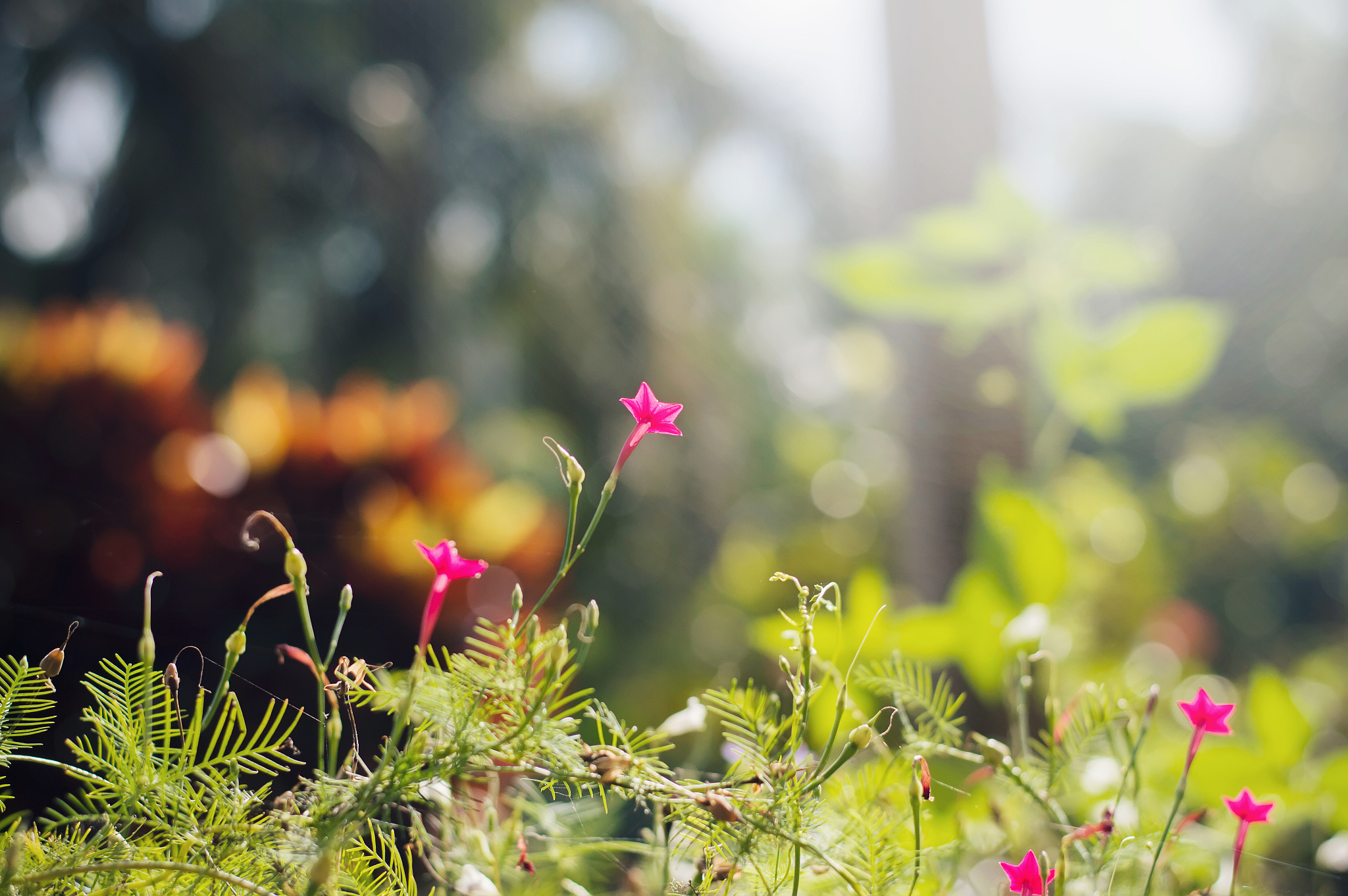人生山高水长，最喜欢的还是这三寸时光：感受生命珍贵与美好