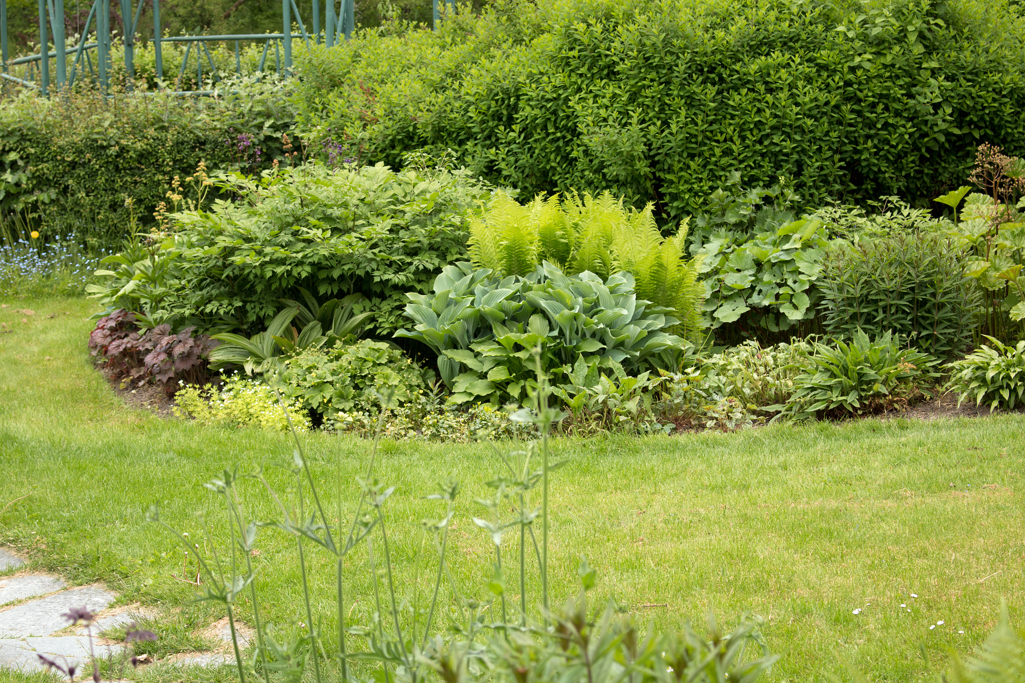 帮生成某地区的共生、互惠、竞争植物和入侵植物的数据集 帮生成某地区的共生、互惠、竞争植物和入侵植物的数据集