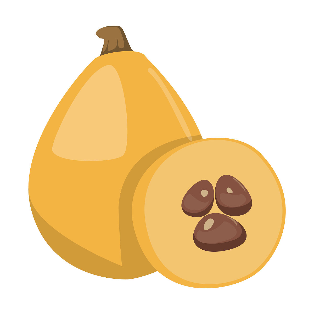 枇杷果肉难分离现有的枇杷去核装置投入市场范围较小数量较少且在加工环节中果核易破碎所以现在多数枇杷深加工企业仍使用人工去核人工成本较高。要求：帮我将以上内容写的精炼一点