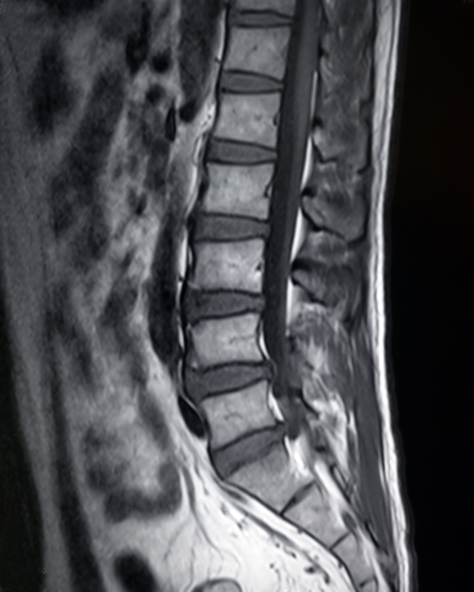 医学影像学对临床医学的革命性影响：从冲击医学基本理论入手
