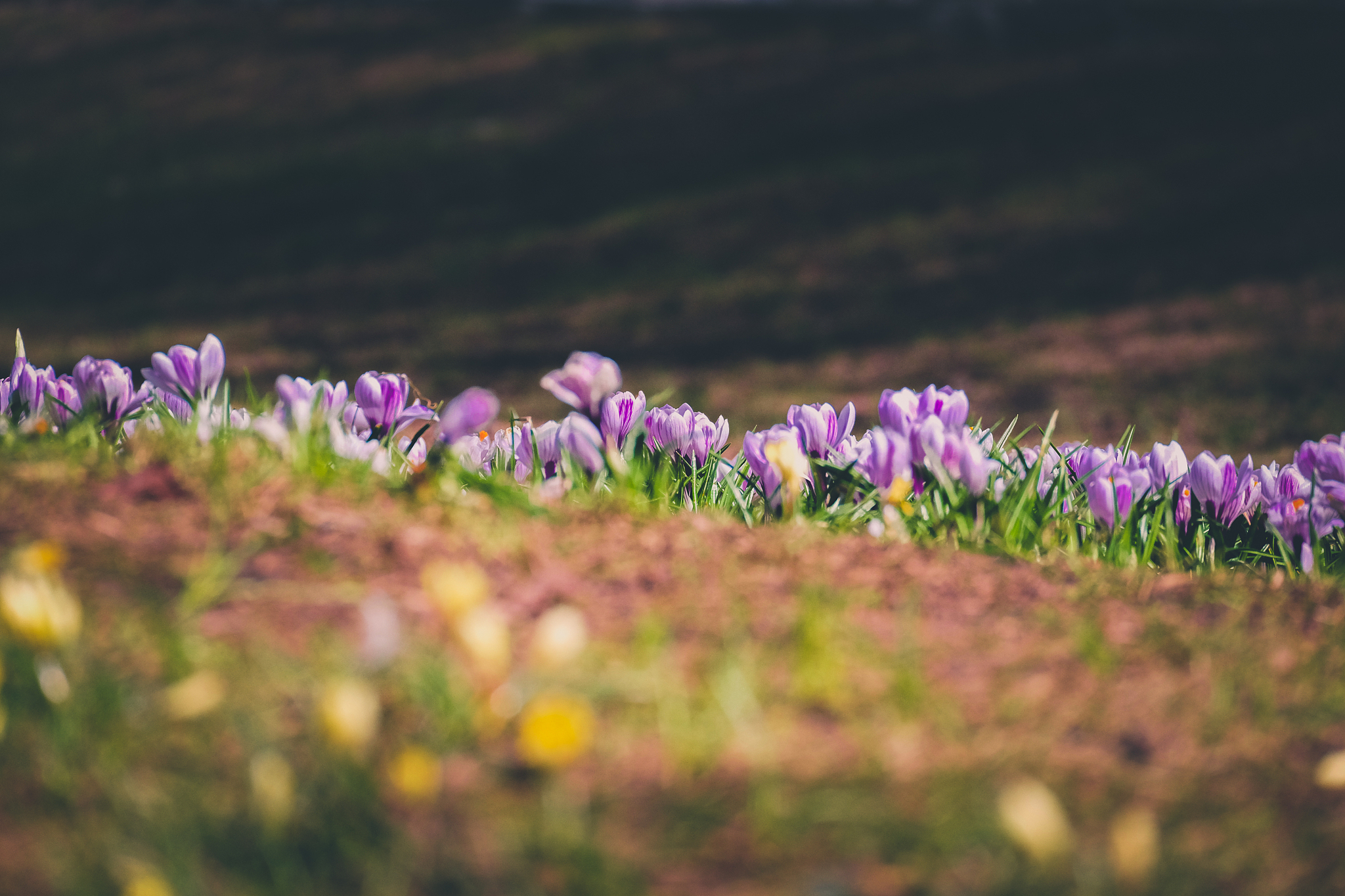 用字母F、G、Y能组成什么单词？所有组合都在这里！