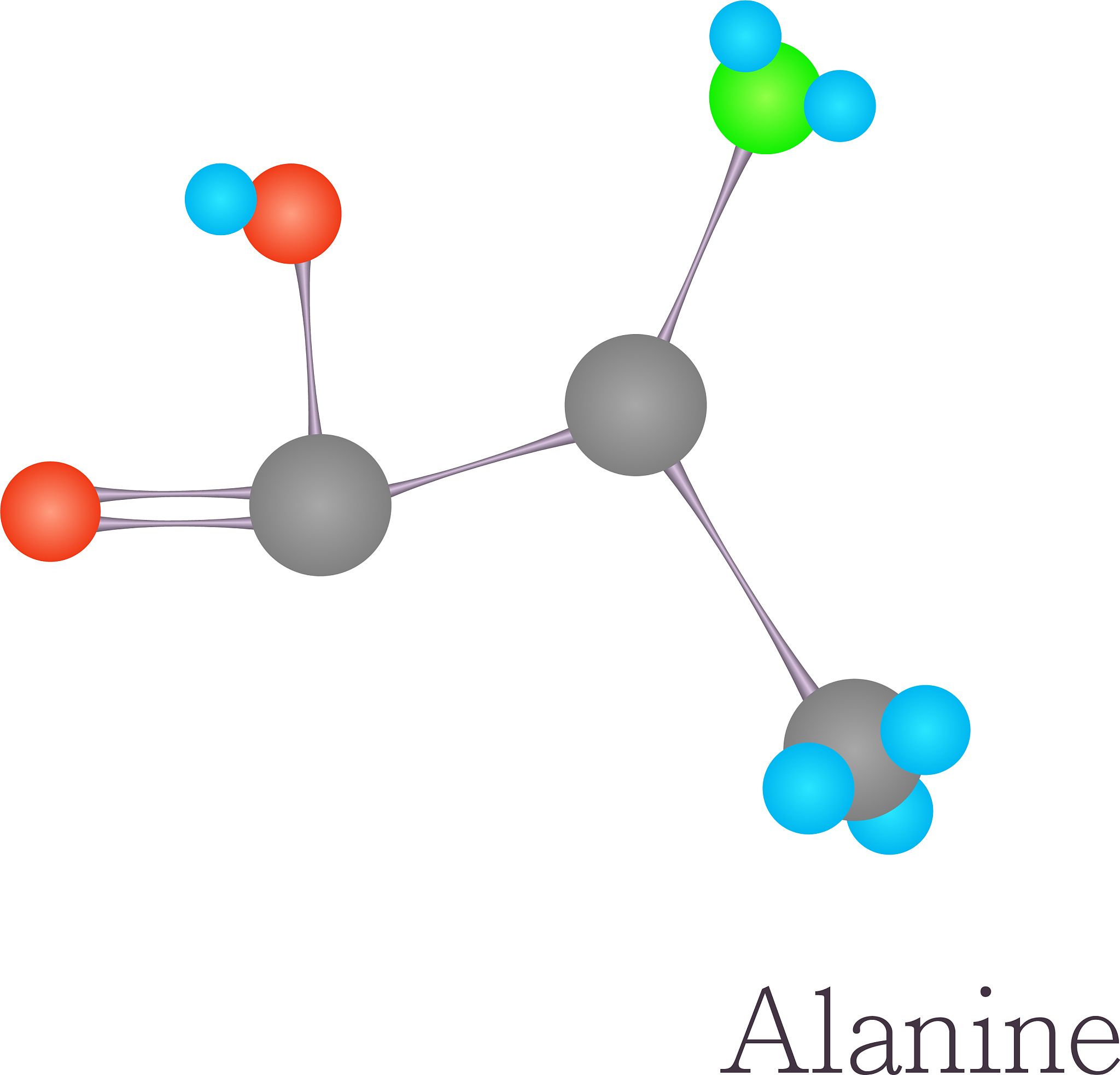 分子动力学 (MD) 模拟：探索分子运动和相互作用