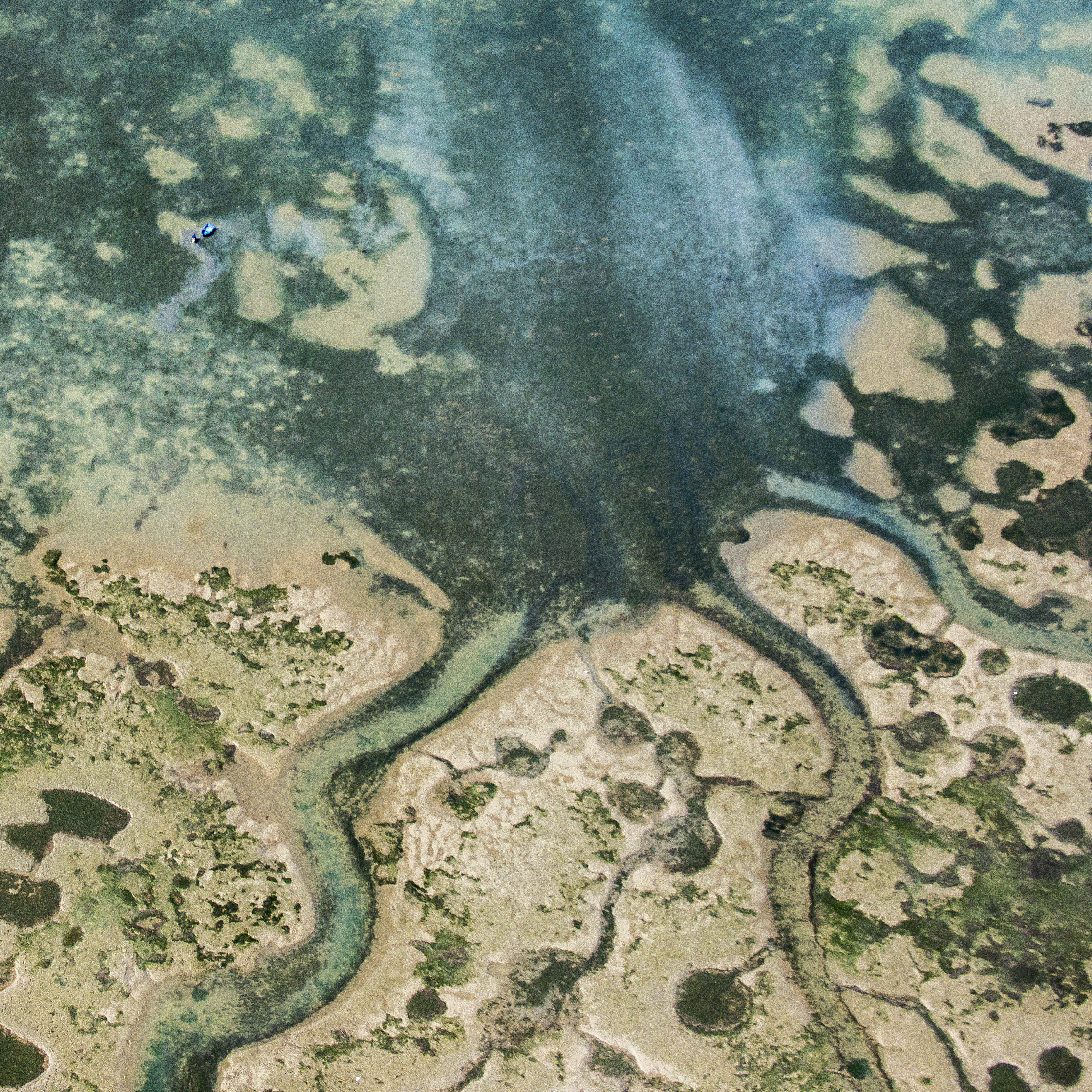 莺歌海盆地：一个新生代走滑拉张盆地