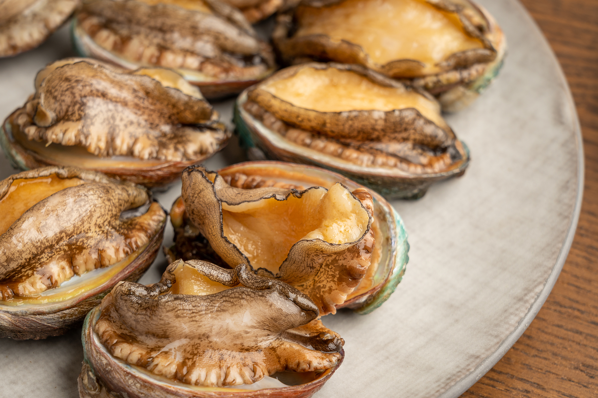 鲍鱼产地在哪？中国主要鲍鱼产区详解