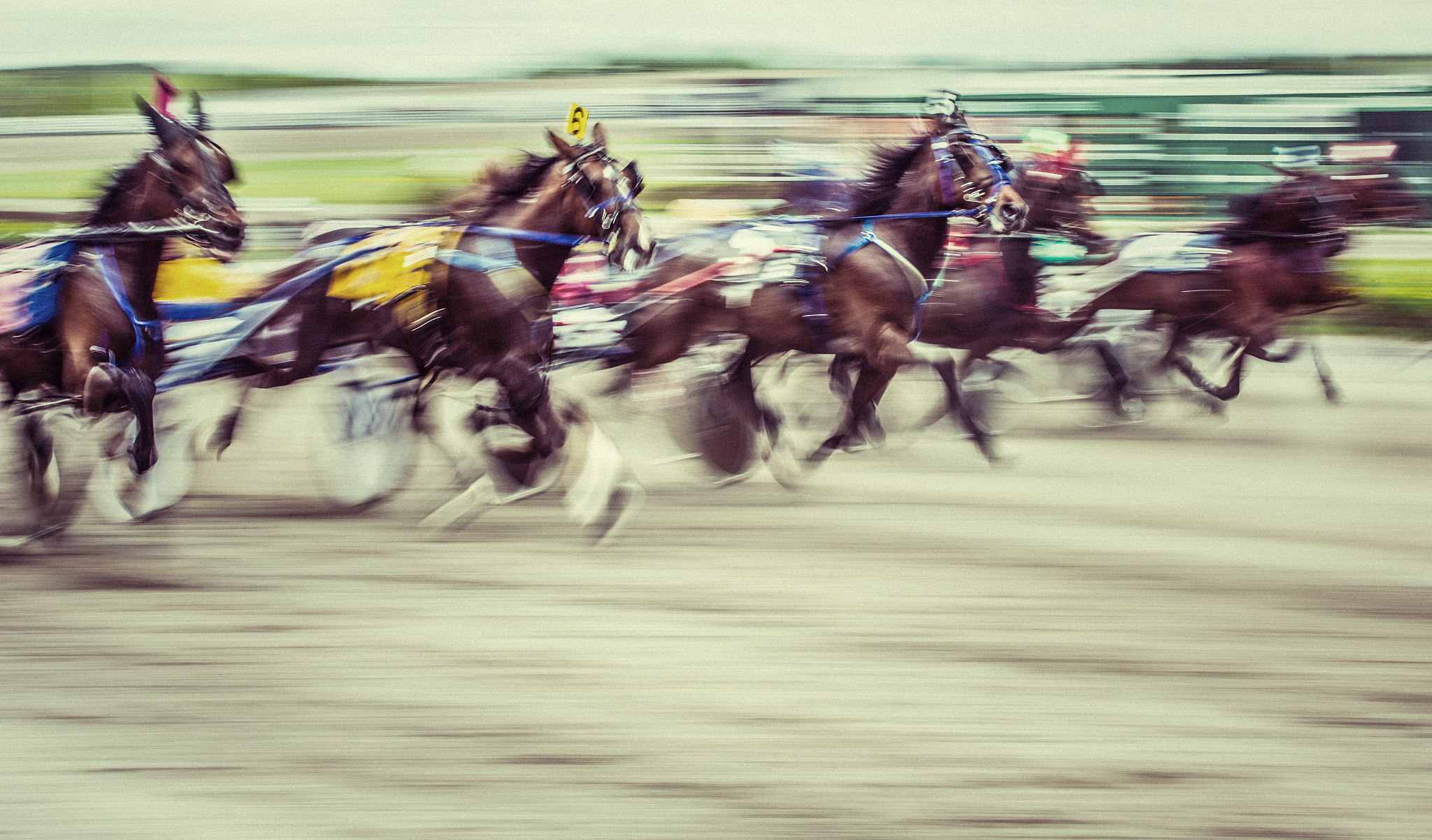 horseracing