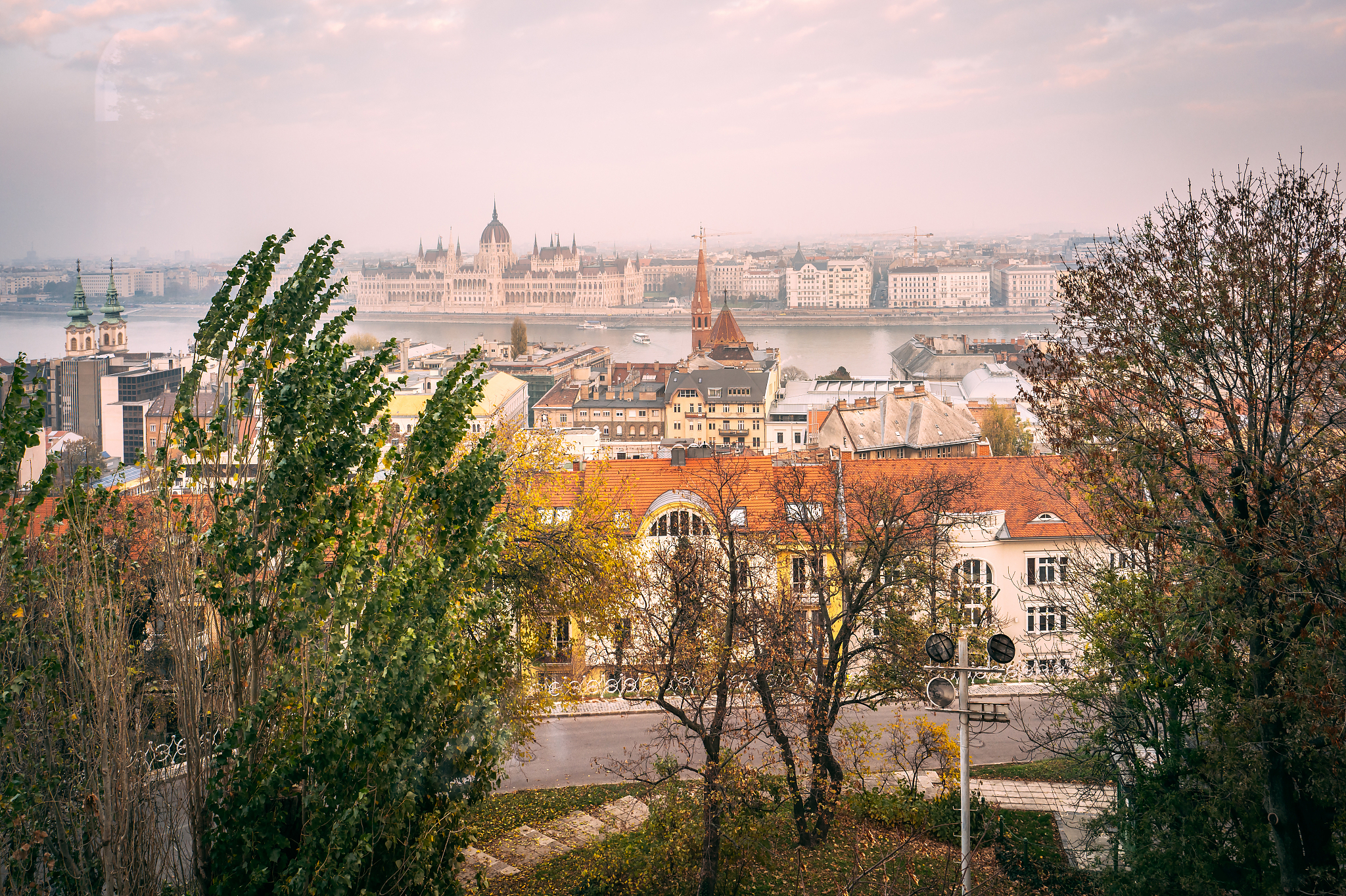 JOURNAL OF PEST SCIENCE 期刊: 农业和城市害虫科学的权威指南