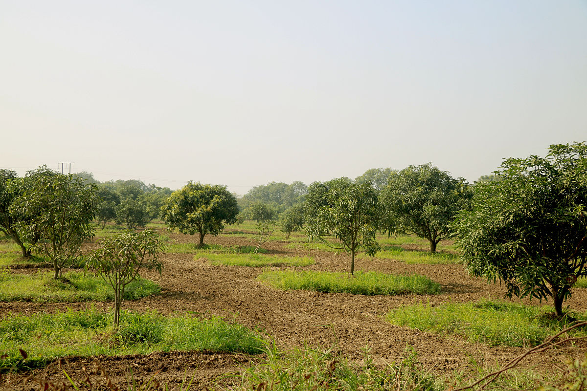 乡下人家：一个充满美好回忆的家