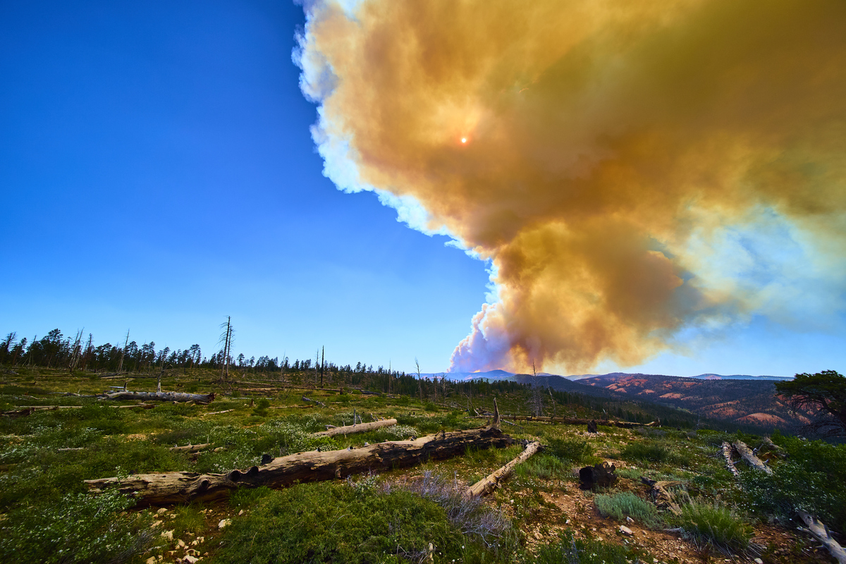 美国山火肆虐：多地现“血色天空”，居民惊呼如同世界末日