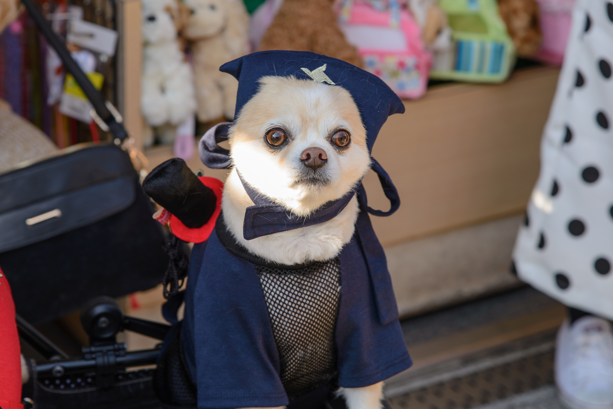 As a noble and virtuous ninja you will experience a burning passion for justice and righteousness driven by a deep sense of duty to protect the innocent and uphold the balance of the world Your heart