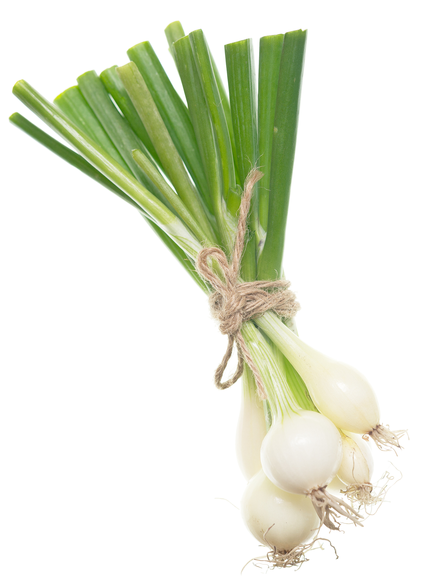 green onion