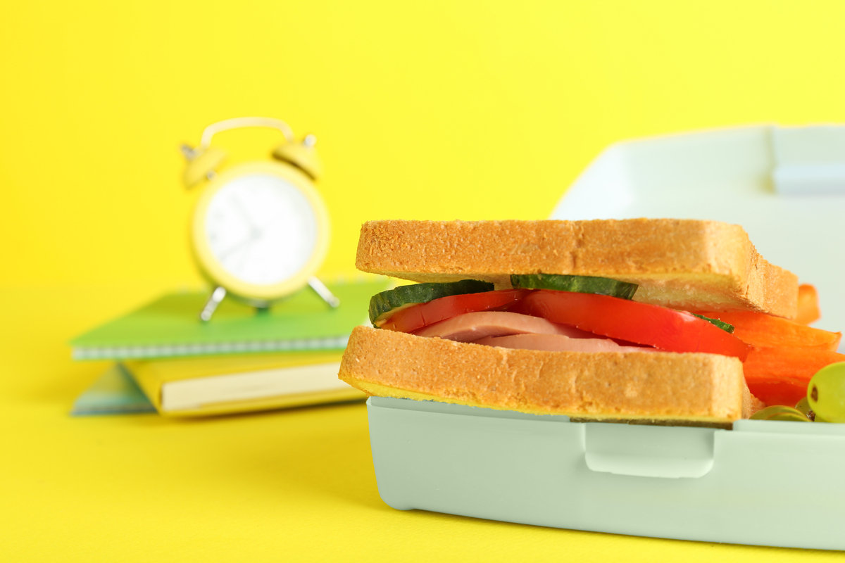 用中文重写这个标题Portable Fast Heating Sandwich Maker Mini Toaster具有更好的可读性长度不要超过200个字符