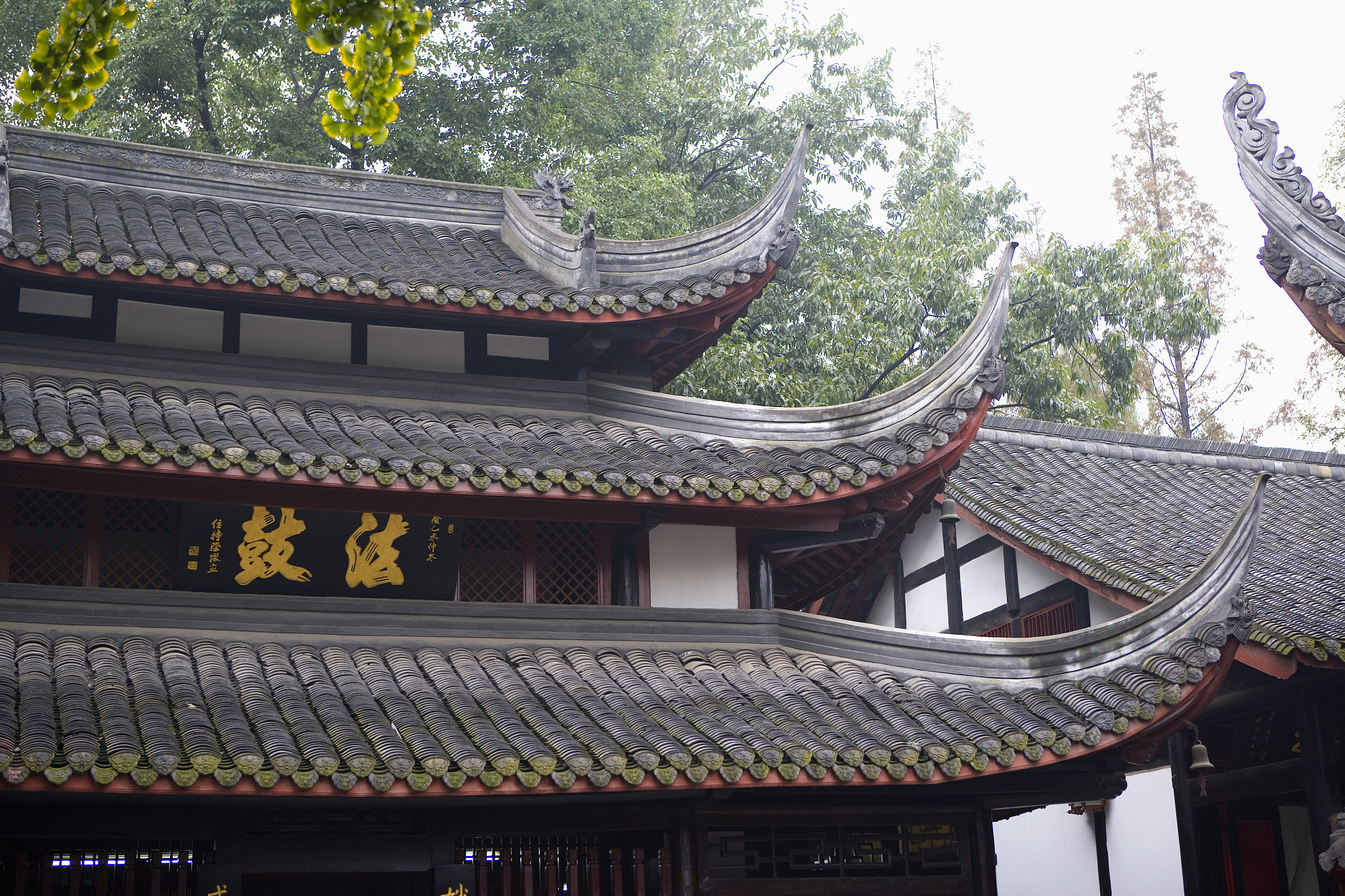 2021年四川旅游学校主要开设那些专业