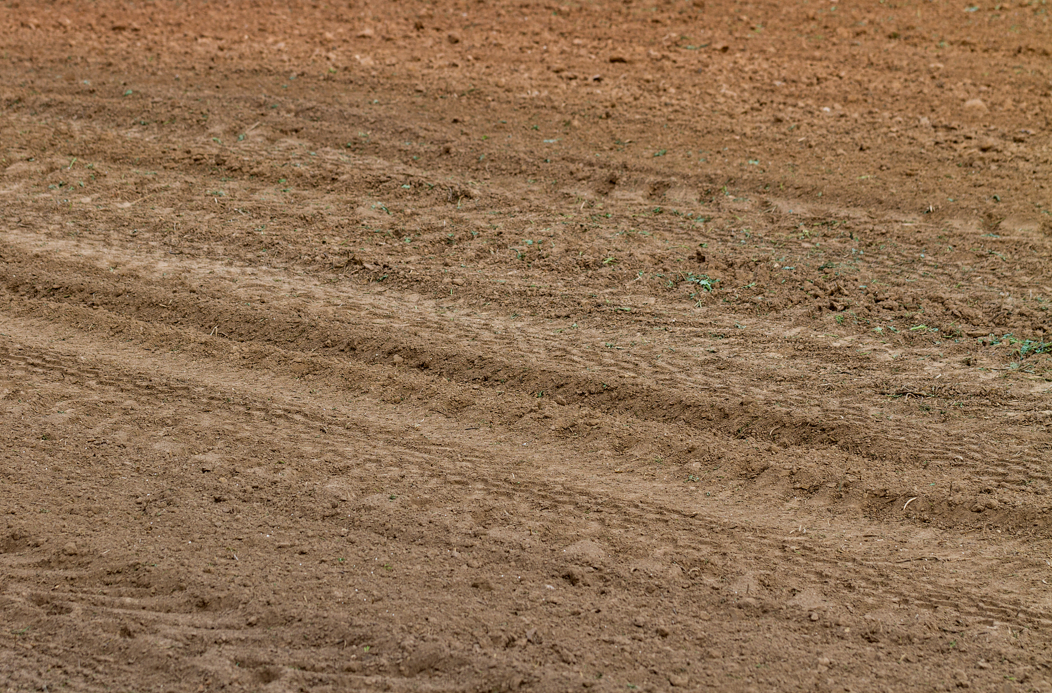 plowed brown field.