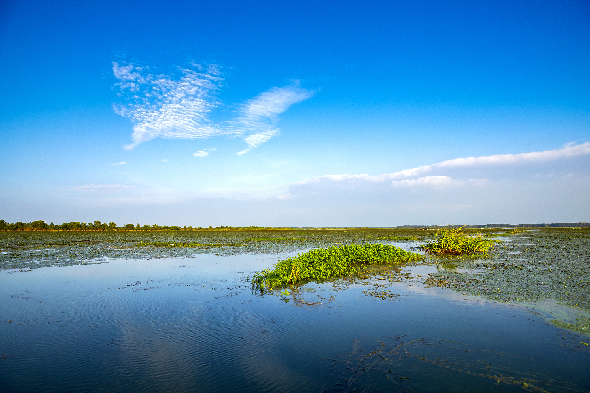盐城黄海湿地世界自然遗产旅游品牌四维的品牌传播