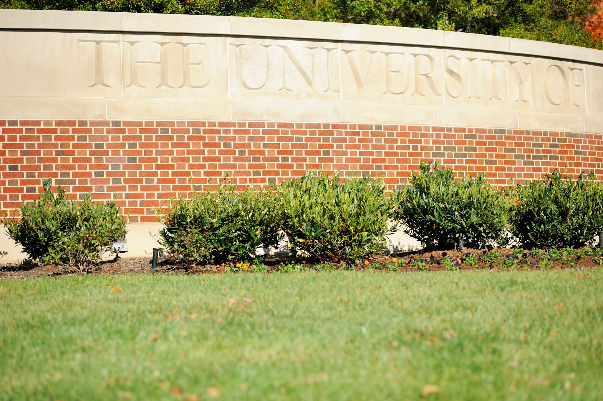 the university of