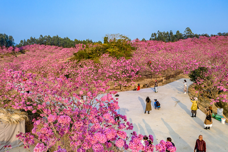 江门新会机电职业技术学校2022年招生简章