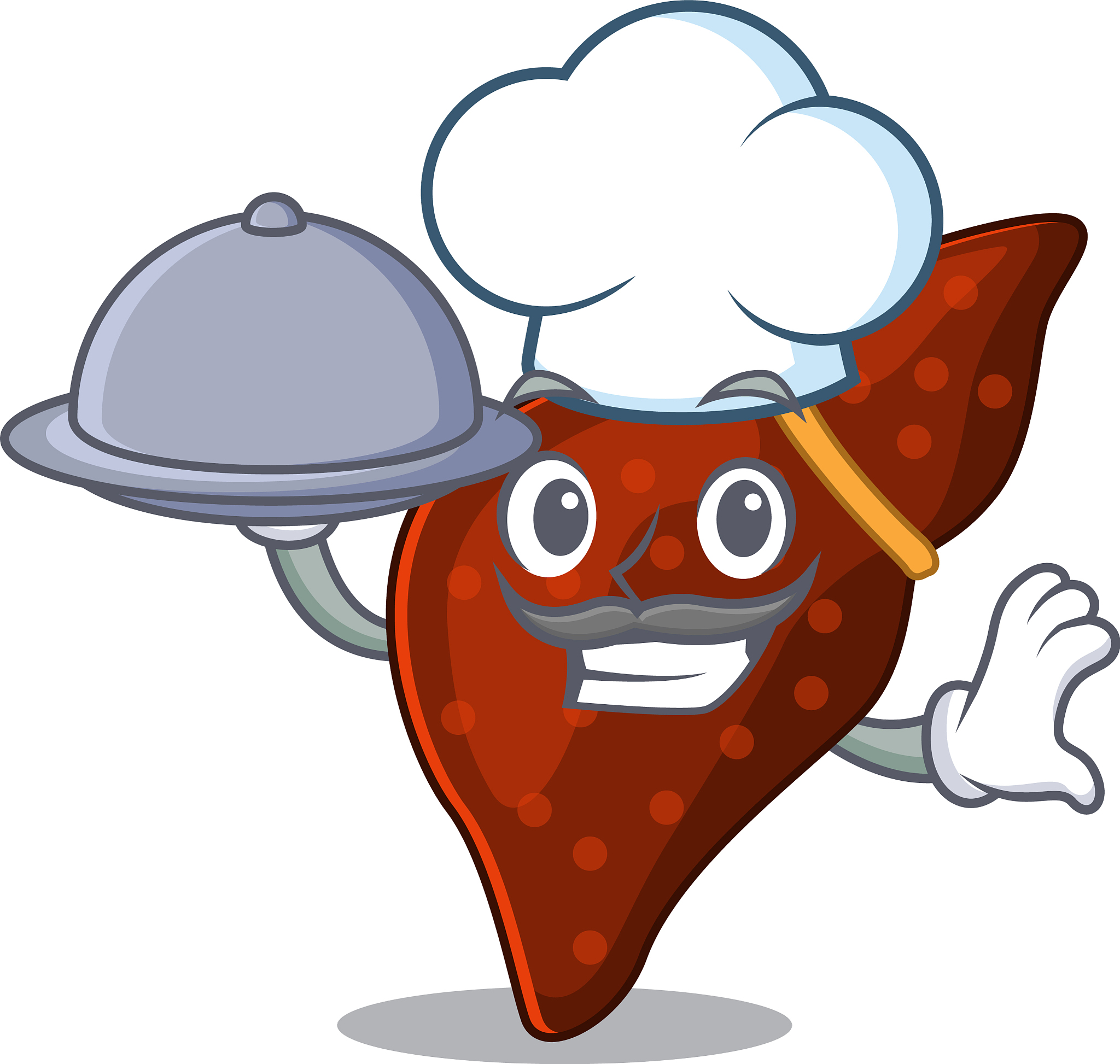 生化检查主要可用于犬猫肝脏哪些方面的评价？多选题 A肝脏功能 B肝细胞损伤 C肝脏形态 D胆汁淤积