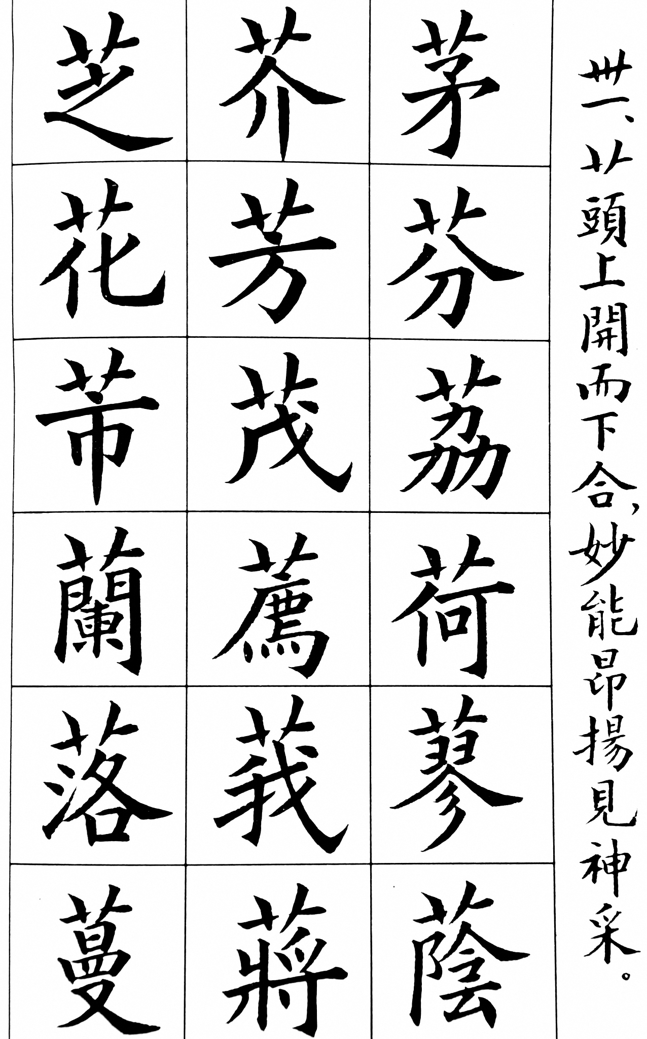 直撇长捺的字