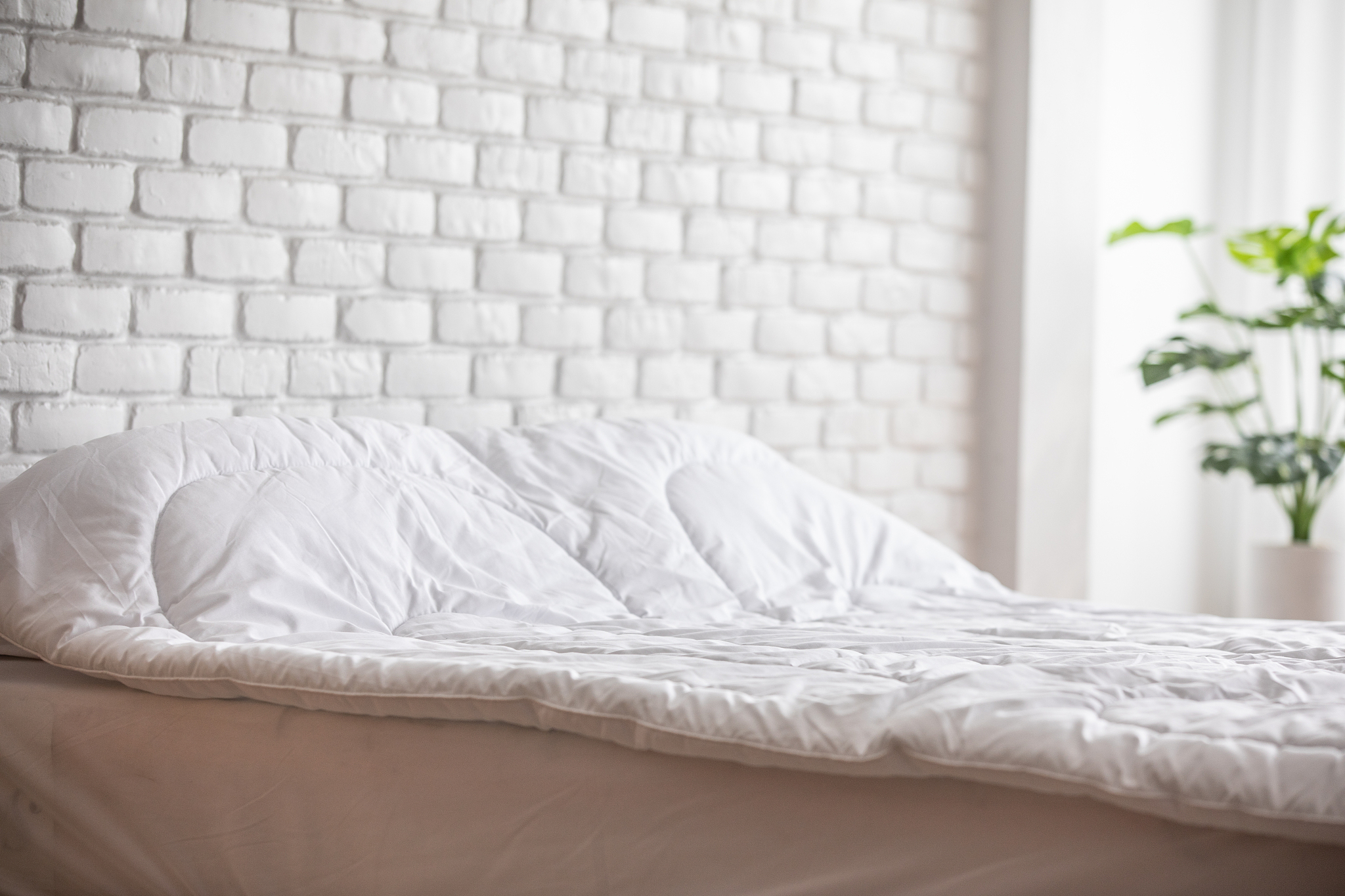 写100字以内的轻松舒适文案