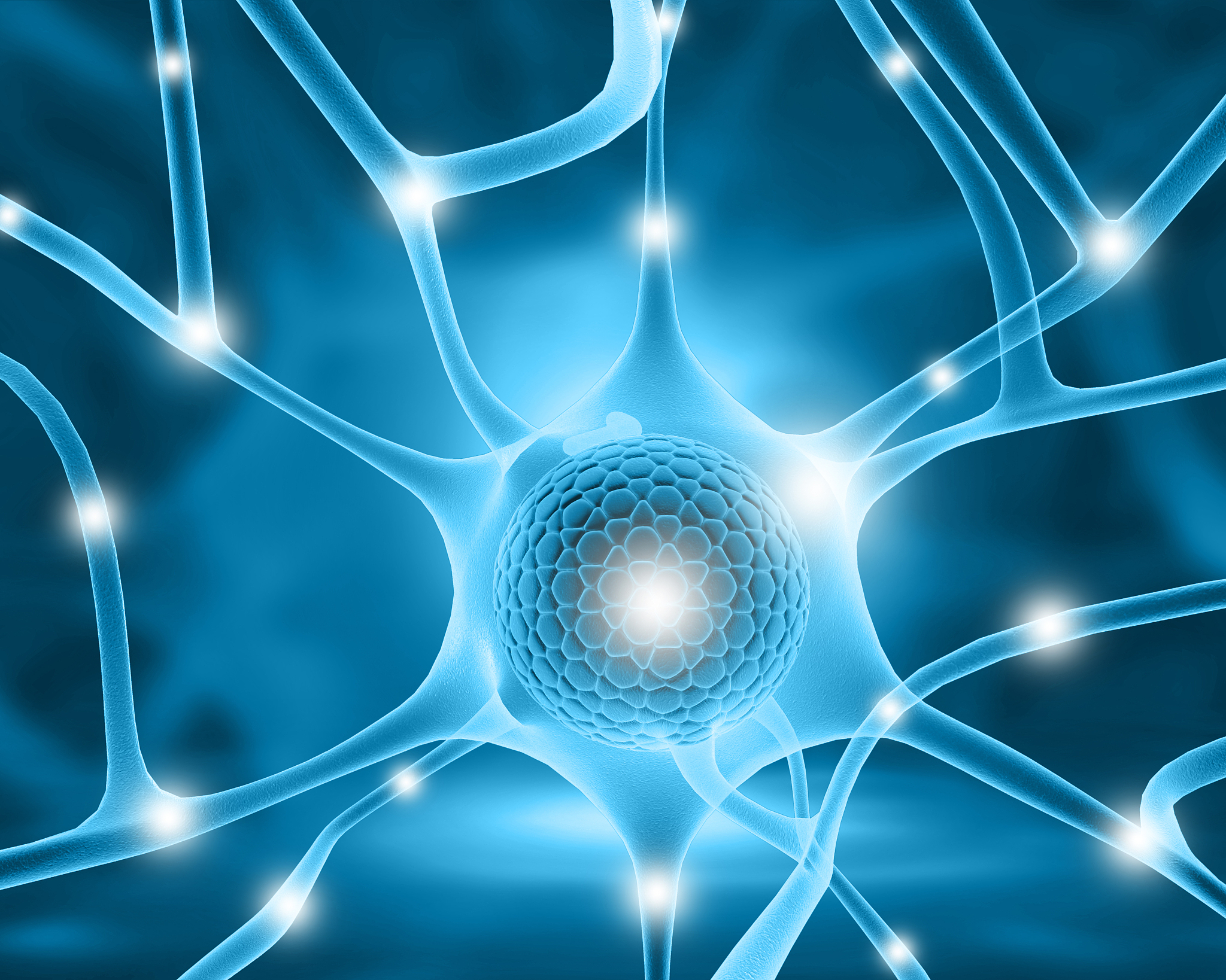 王殿轩：神经科学和细胞生物学领域的先驱
