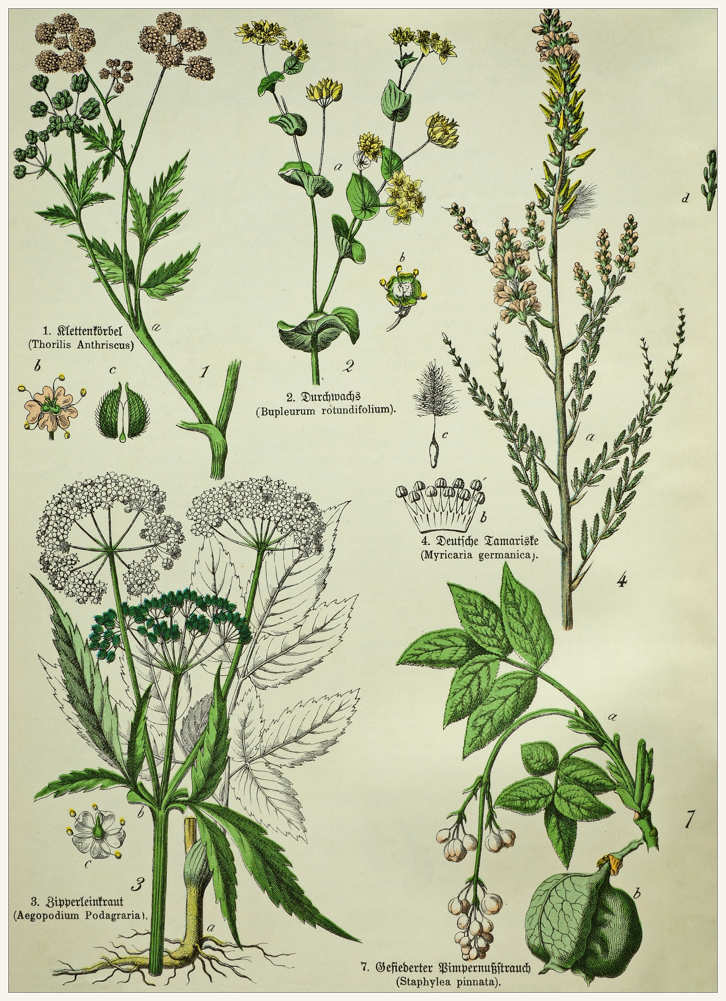 直接通信 vs 间接通信：优劣比较