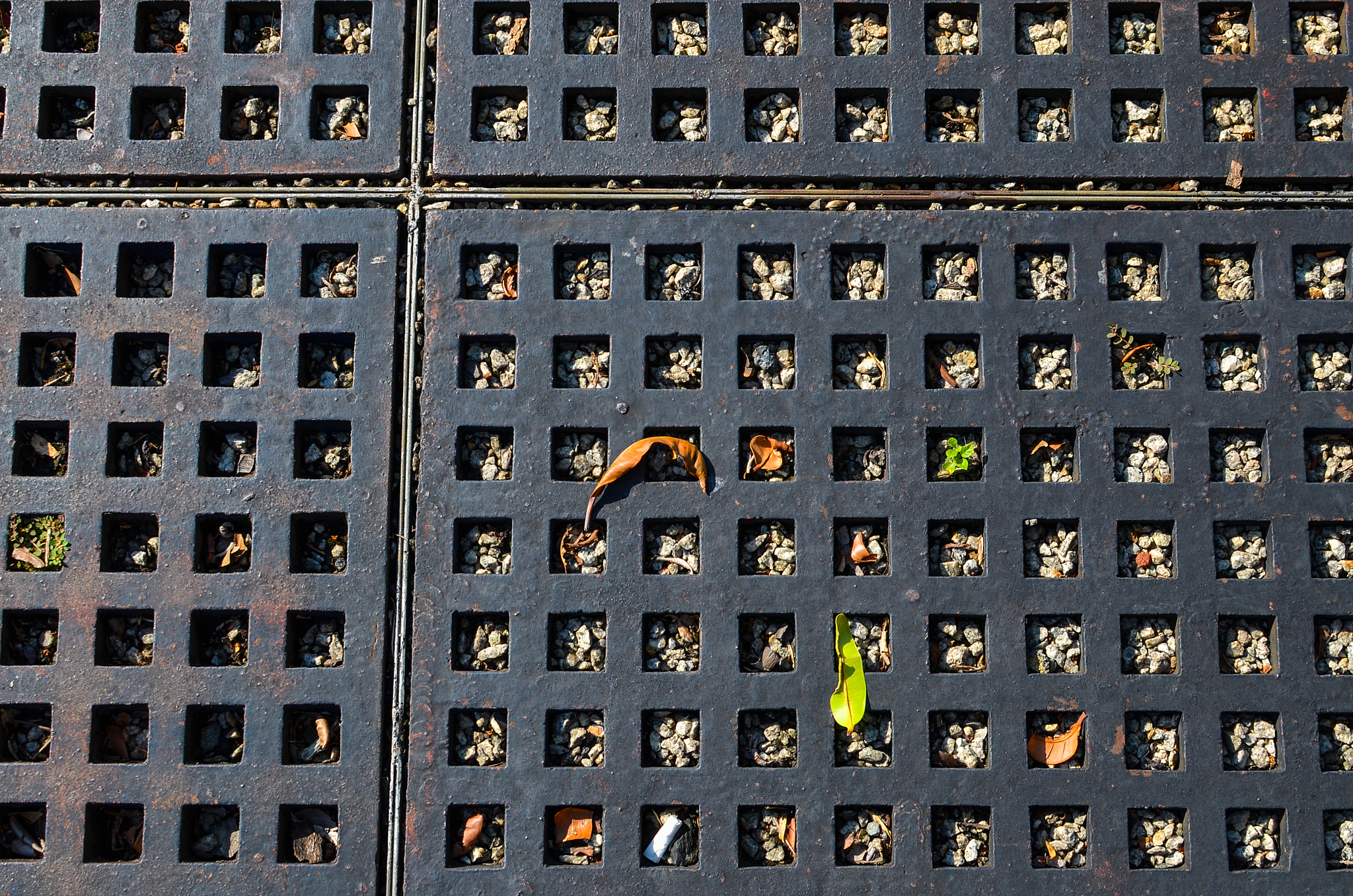 暗黑破坏神2 技能点数重置方法：遗忘药水使用限制